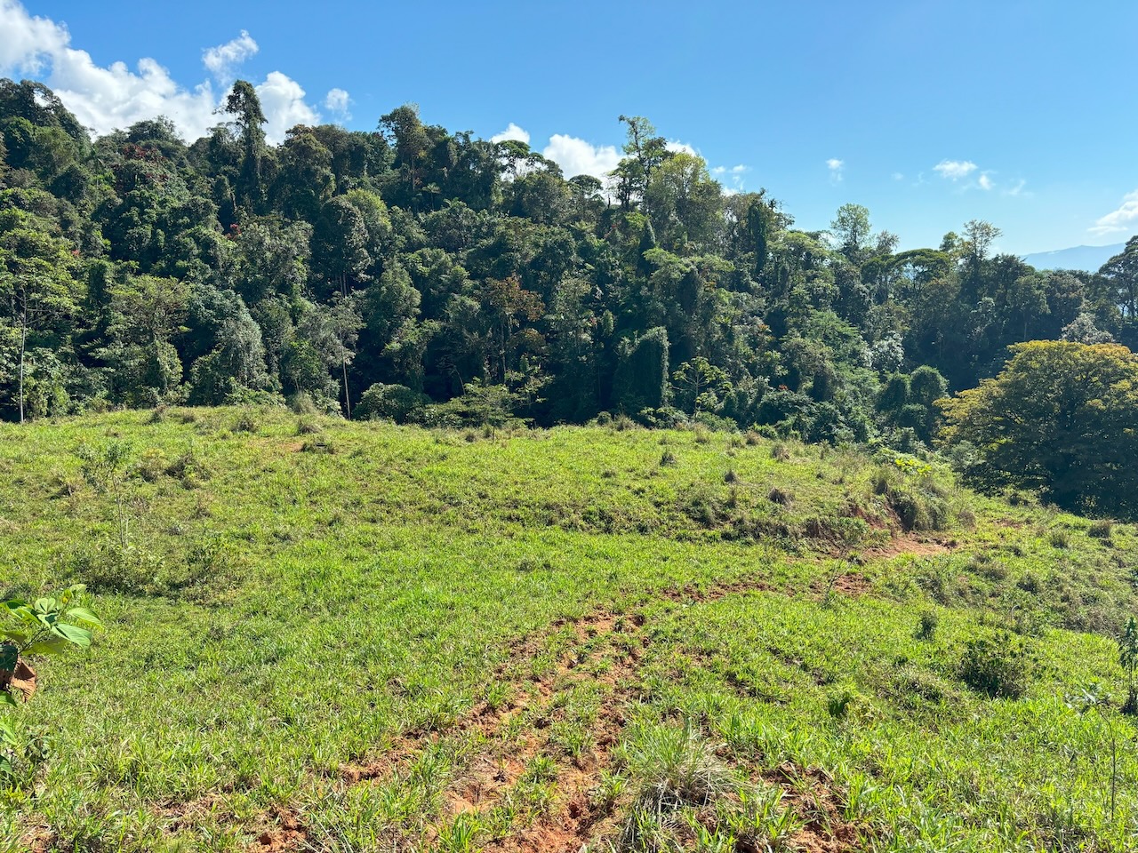 0 bed Land For Sale in Dominical, Puntarenas - thumb 20