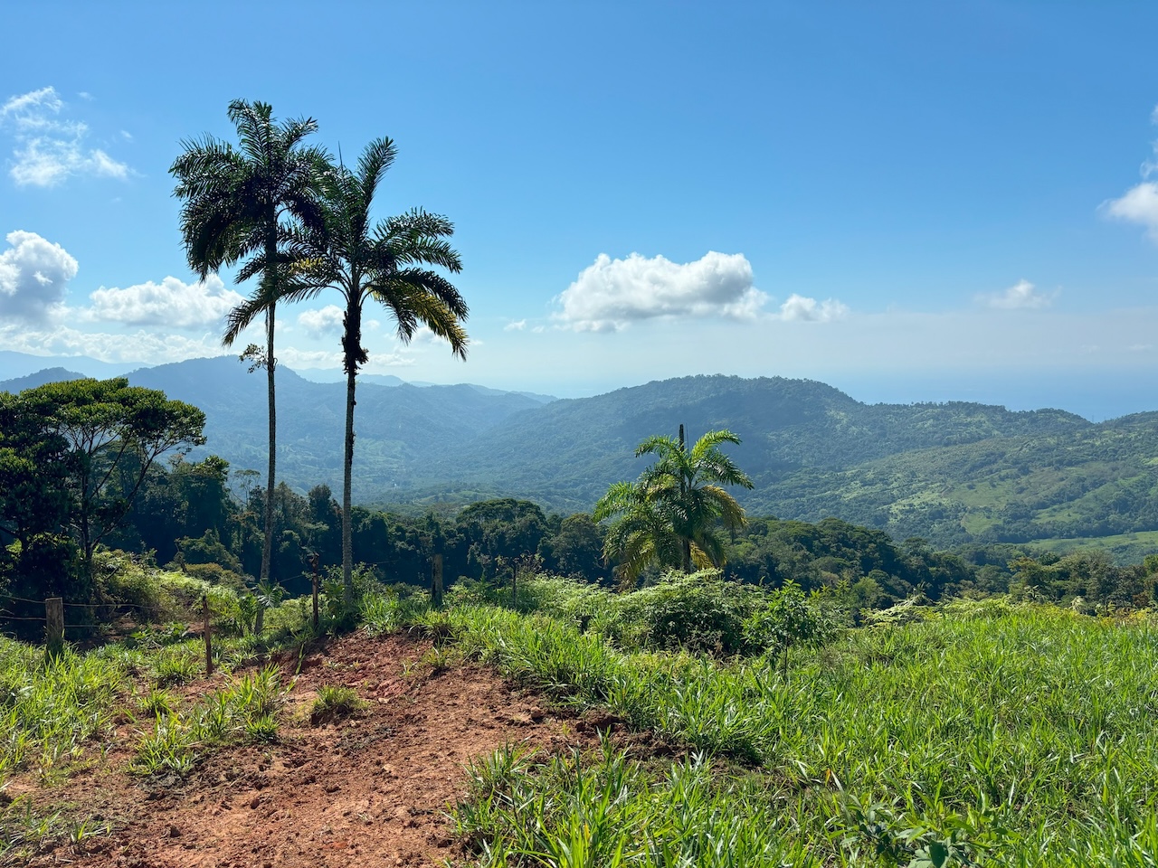 0 bed Land For Sale in Dominical, Puntarenas - thumb 3
