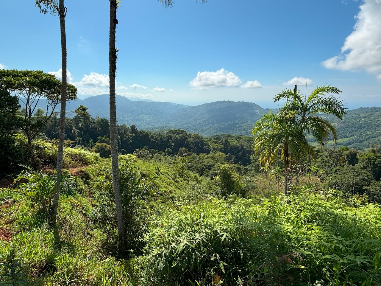 0 bed Land For Sale in Dominical, Puntarenas - thumb 27