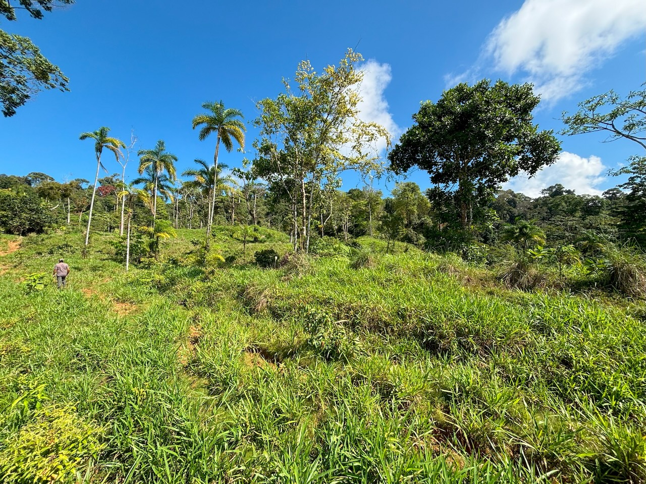 0 bed Land For Sale in Dominical, Puntarenas - thumb 13