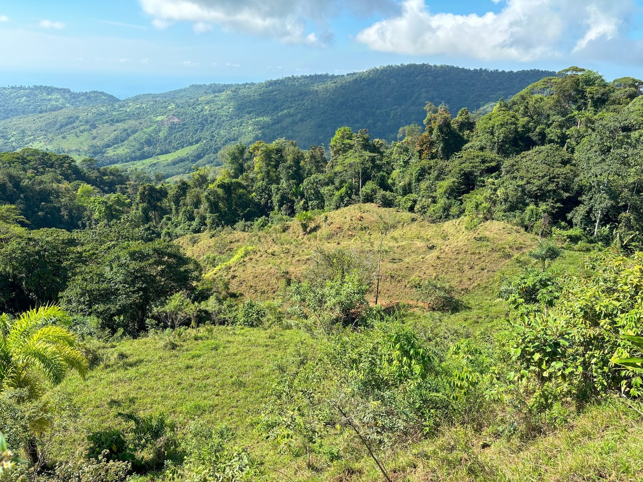 0 bed Land For Sale in Dominical, Puntarenas - thumb 11