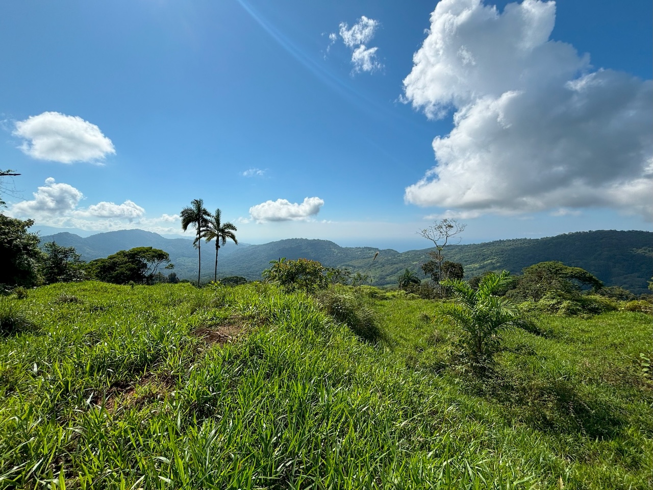 0 bed Land For Sale in Dominical, Puntarenas - thumb 26