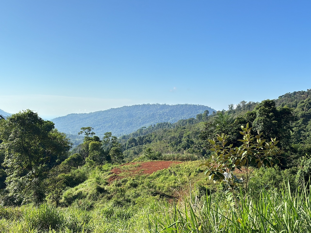 0 bed Land For Sale in Dominical, Puntarenas - thumb 24