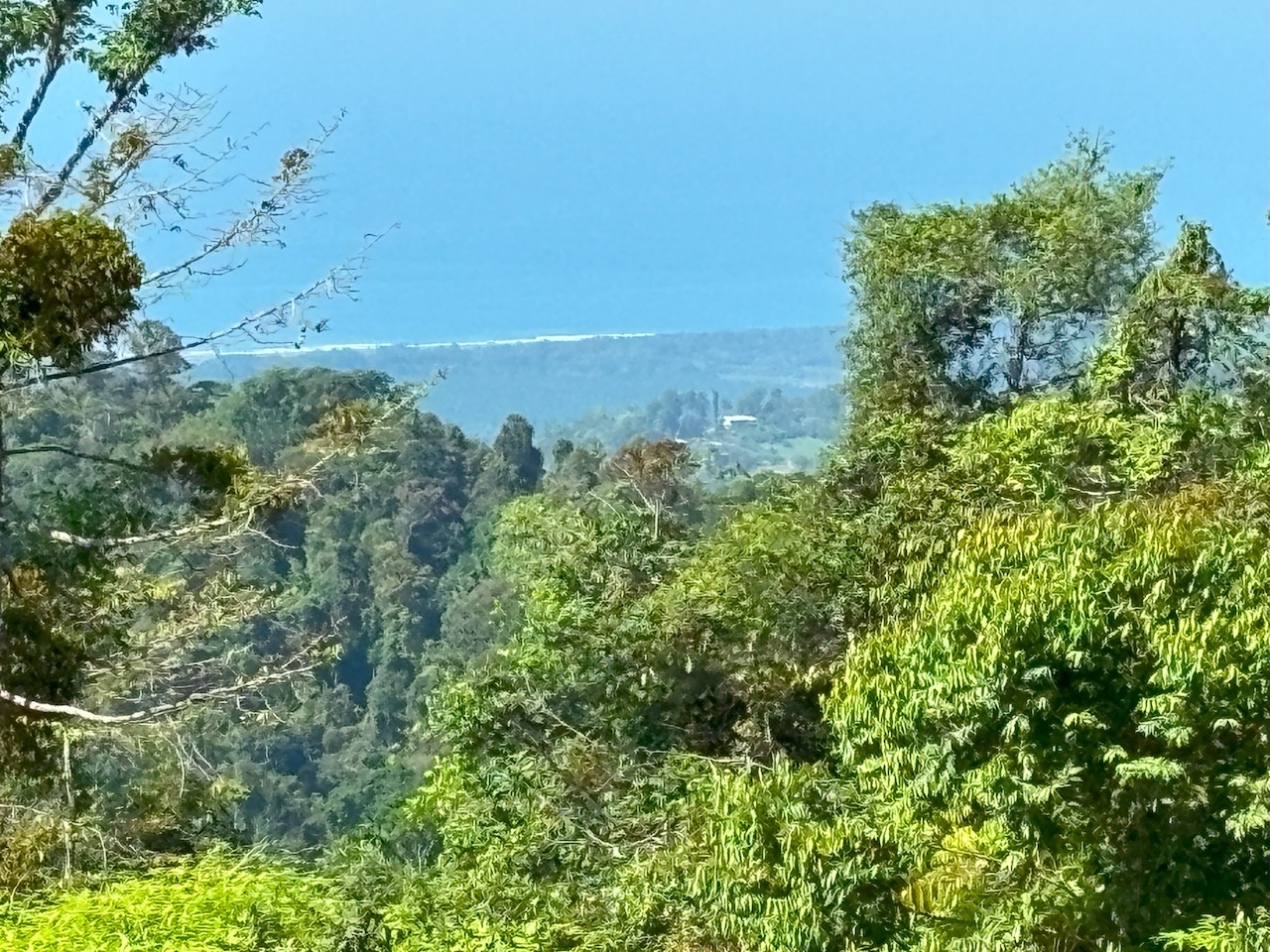 0 bed Land For Sale in Dominical, Puntarenas - thumb 23