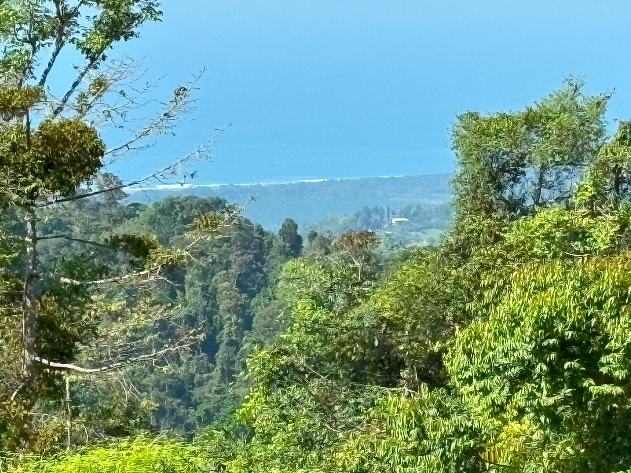 0 bed Land For Sale in Dominical, Puntarenas - thumb 22