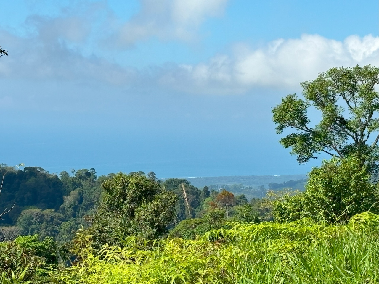 0 bed Land For Sale in Dominical, Puntarenas - thumb 21