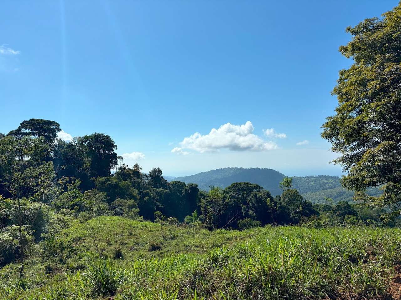 0 bed Land For Sale in Dominical, Puntarenas - thumb 17