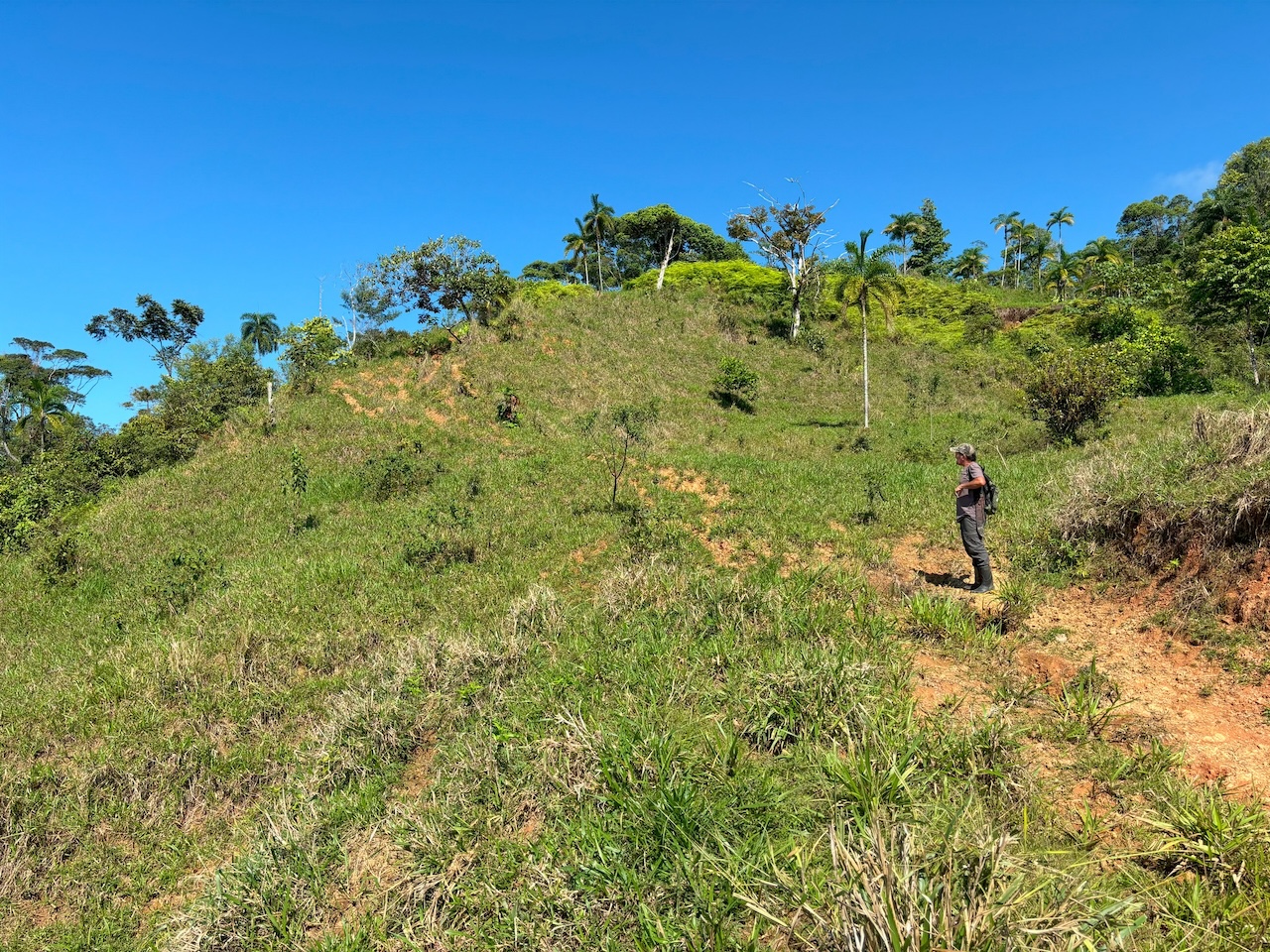 0 bed Land For Sale in Dominical, Puntarenas - thumb 16