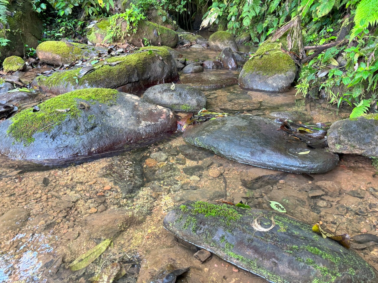 0 bed Land For Sale in Dominical, Puntarenas - thumb 10