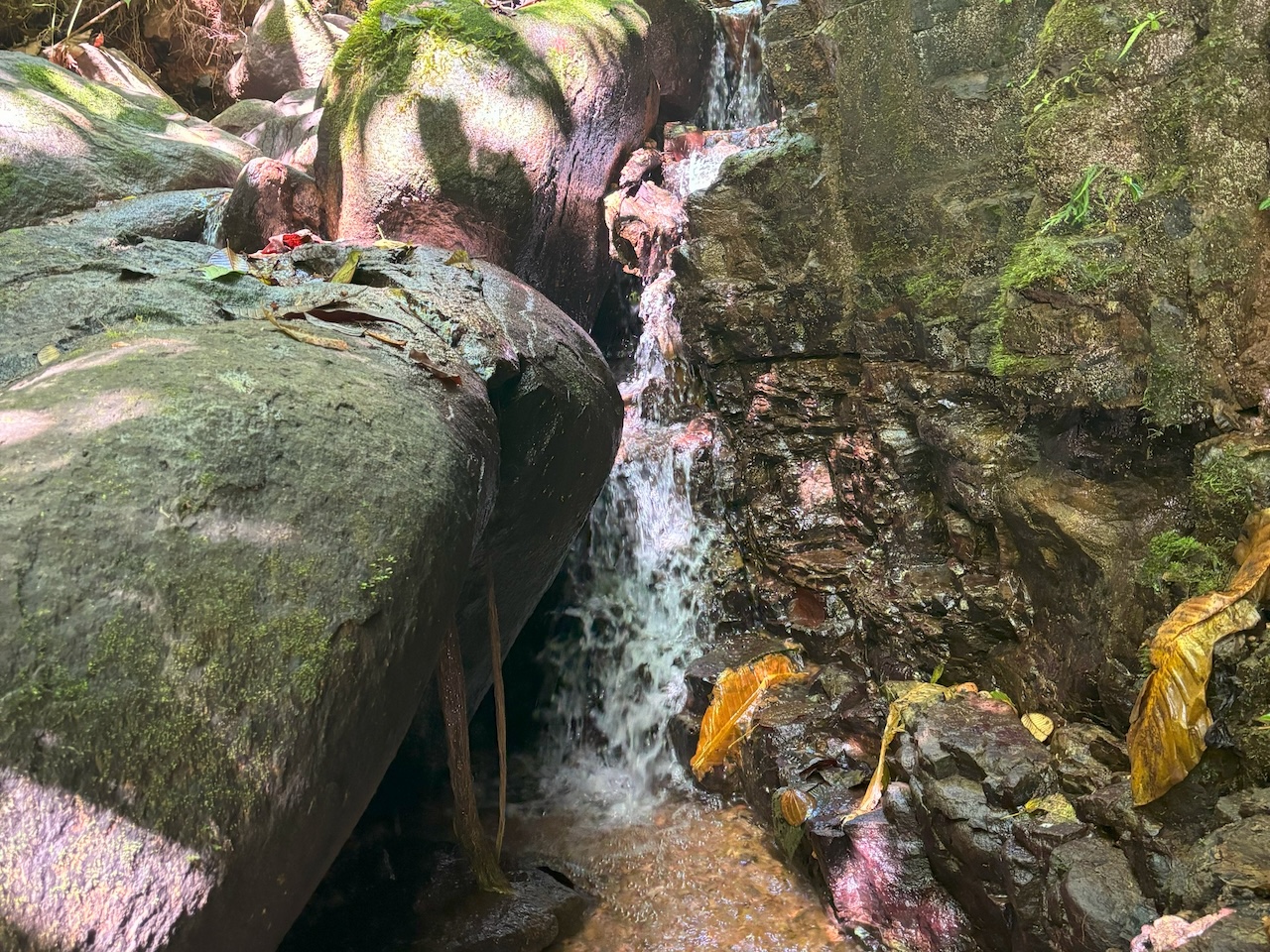 0 bed Land For Sale in Dominical, Puntarenas - thumb 5