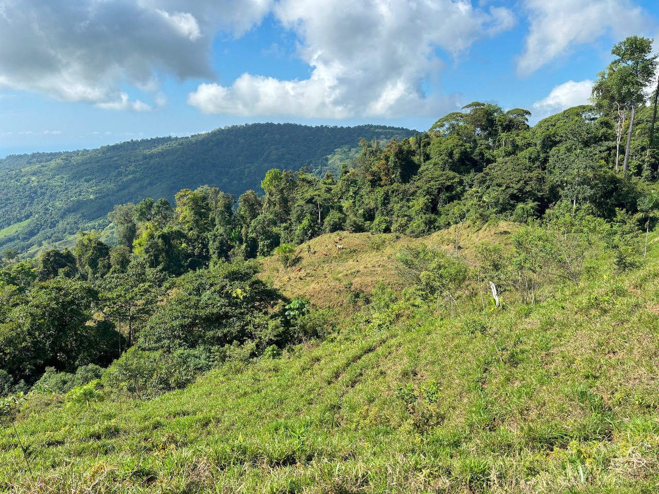 0 bed Land For Sale in Dominical, Puntarenas - thumb 15