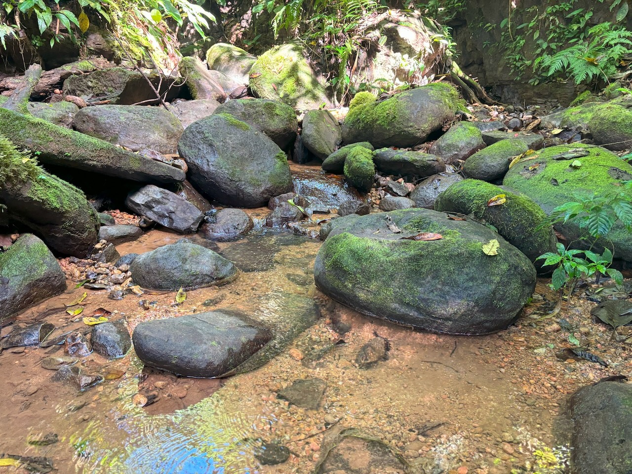 0 bed Land For Sale in Dominical, Puntarenas - thumb 9