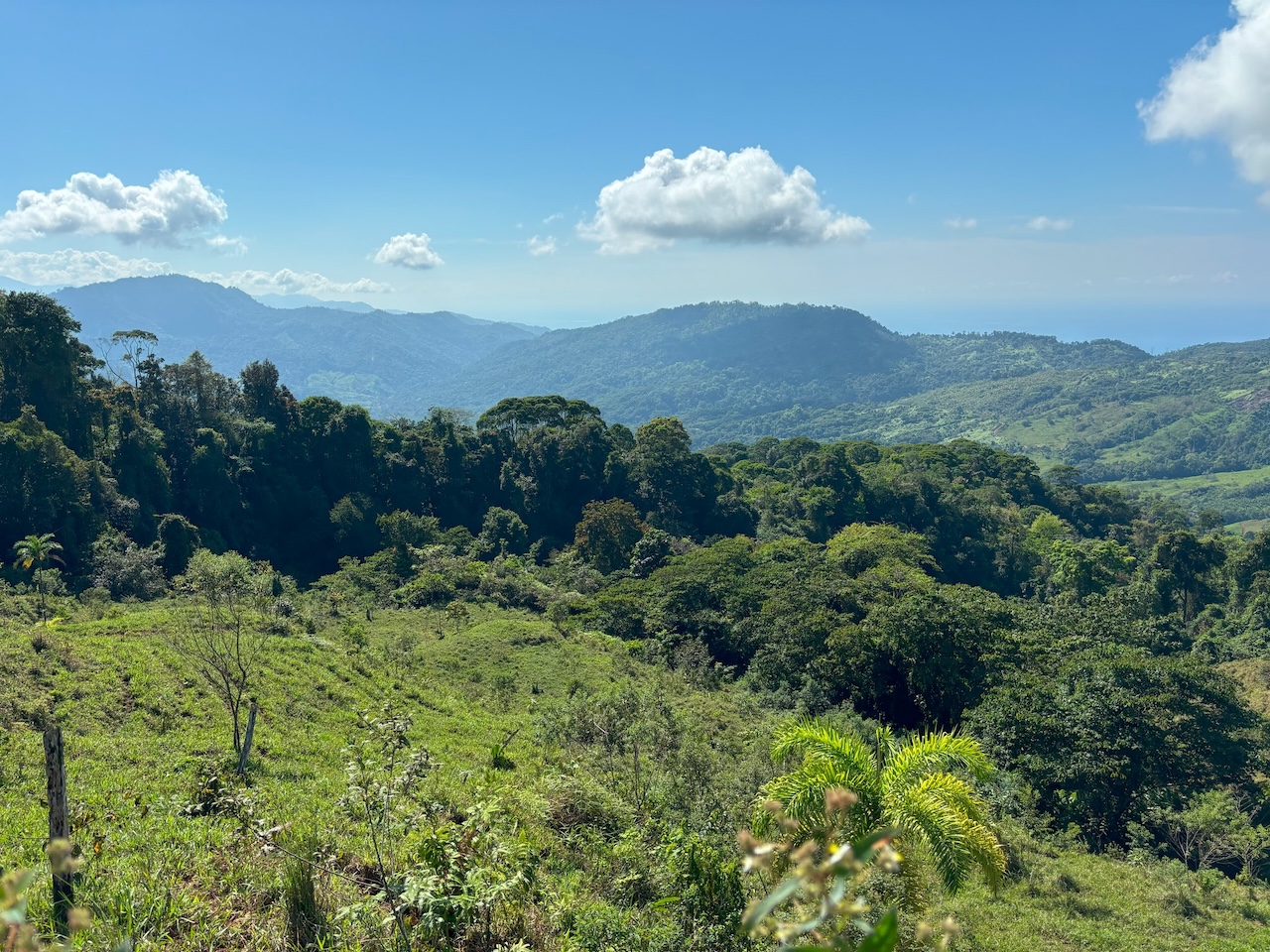 0 bed Land For Sale in Dominical, Puntarenas - thumb 14