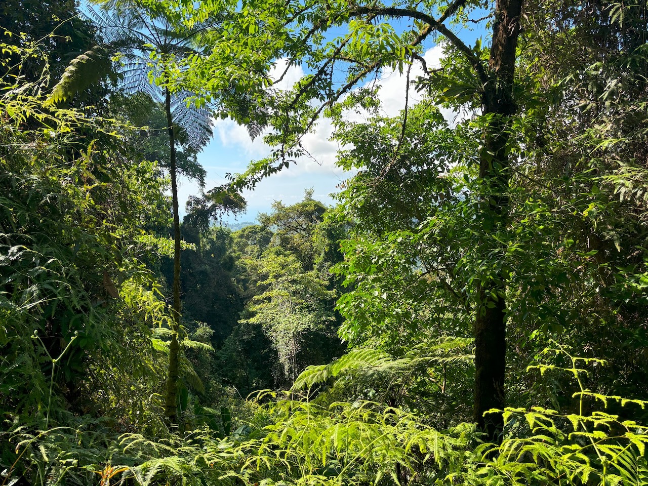 0 bed Land For Sale in Dominical, Puntarenas - thumb 19