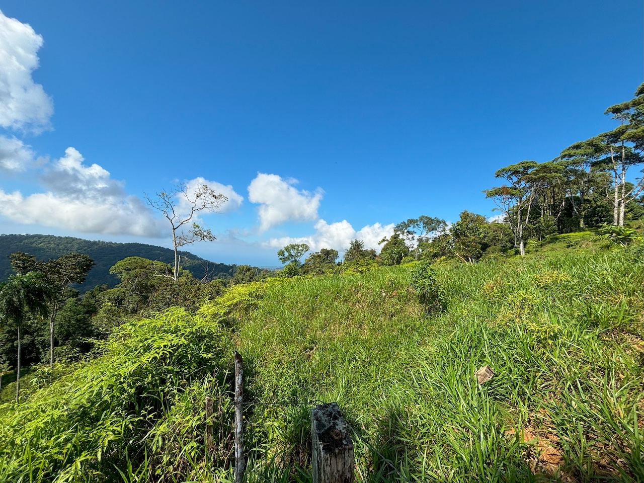 0 bed Land For Sale in Dominical, Puntarenas - thumb 4