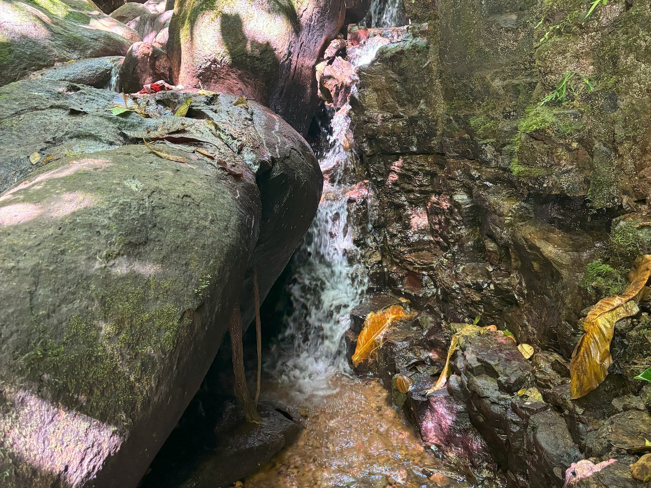 0 bed Land For Sale in Dominical, Puntarenas - thumb 2