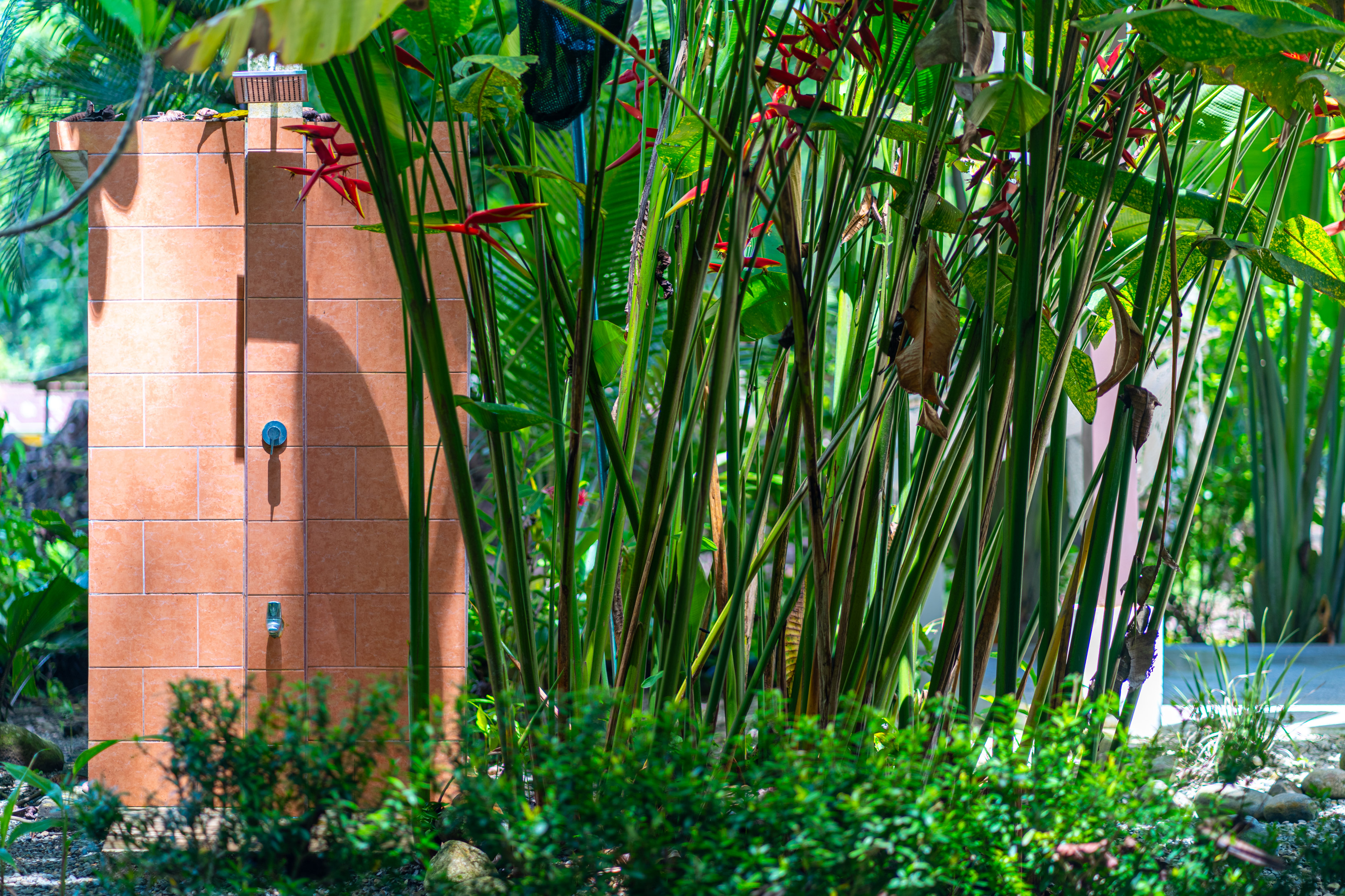 1 bed Single Family Homes For Sale in Ojochal, Puntarenas - thumb 12