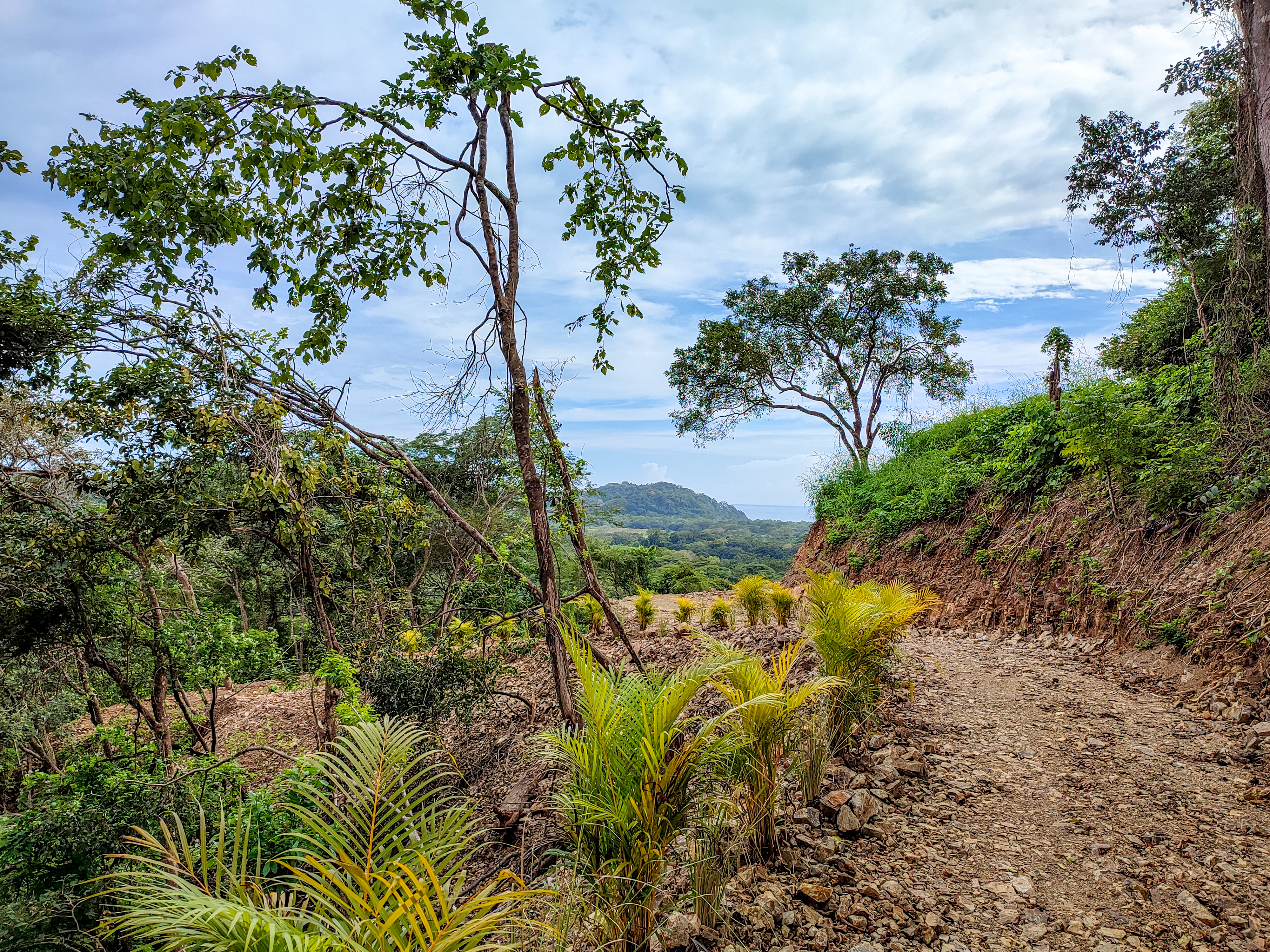 0 bed Land For Sale in Samara, Guanacaste - thumb 7