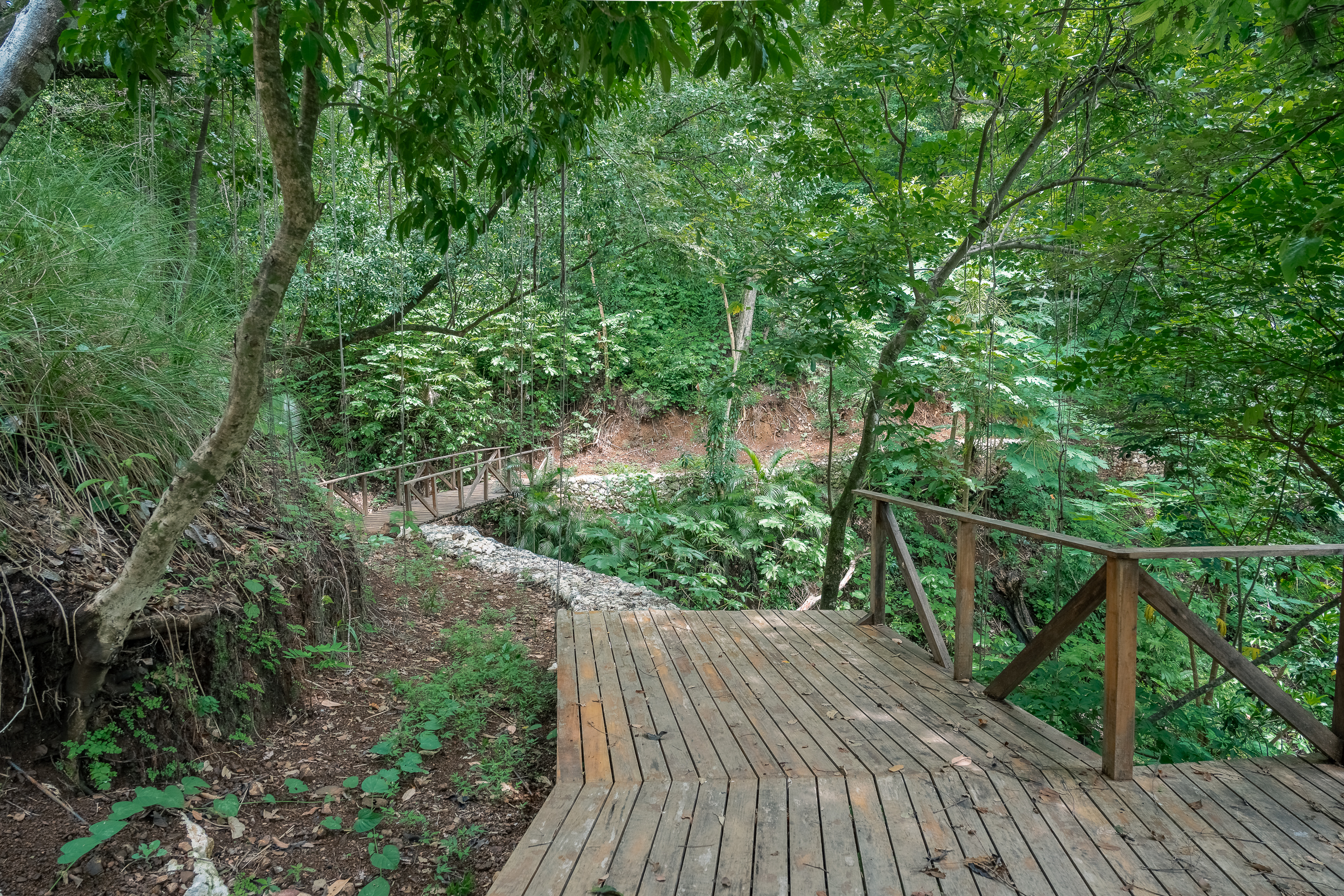 0 bed Land For Sale in Nosara, Guanacaste - thumb 20