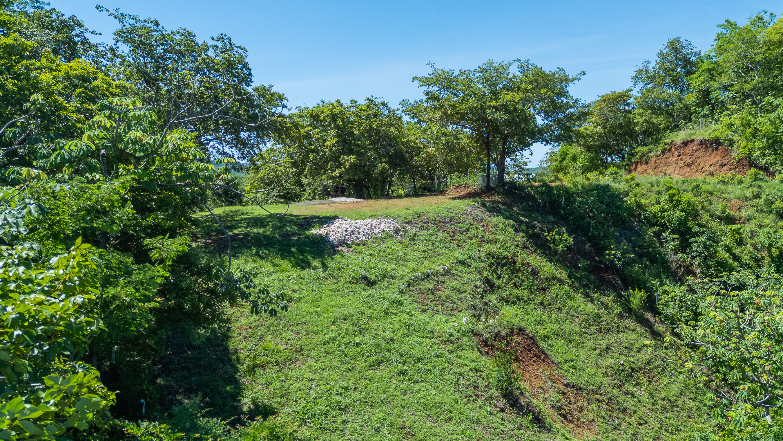 0 bed Land For Sale in Nosara, Guanacaste - thumb 7
