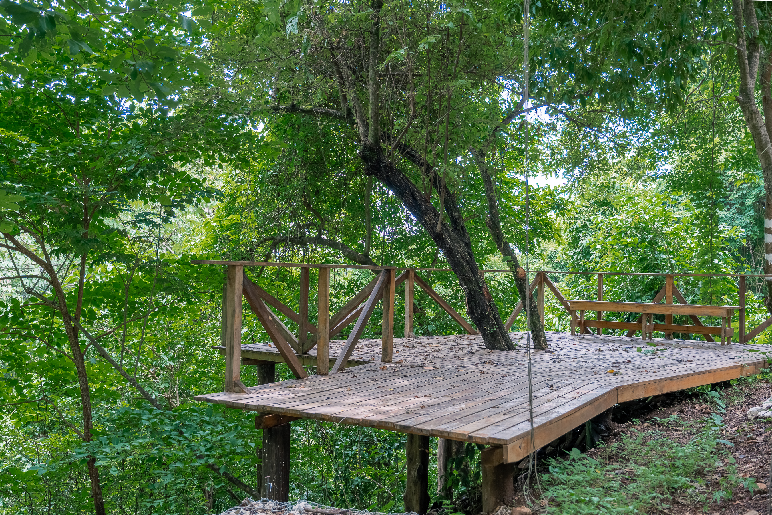 0 bed Land For Sale in Nosara, Guanacaste - thumb 16