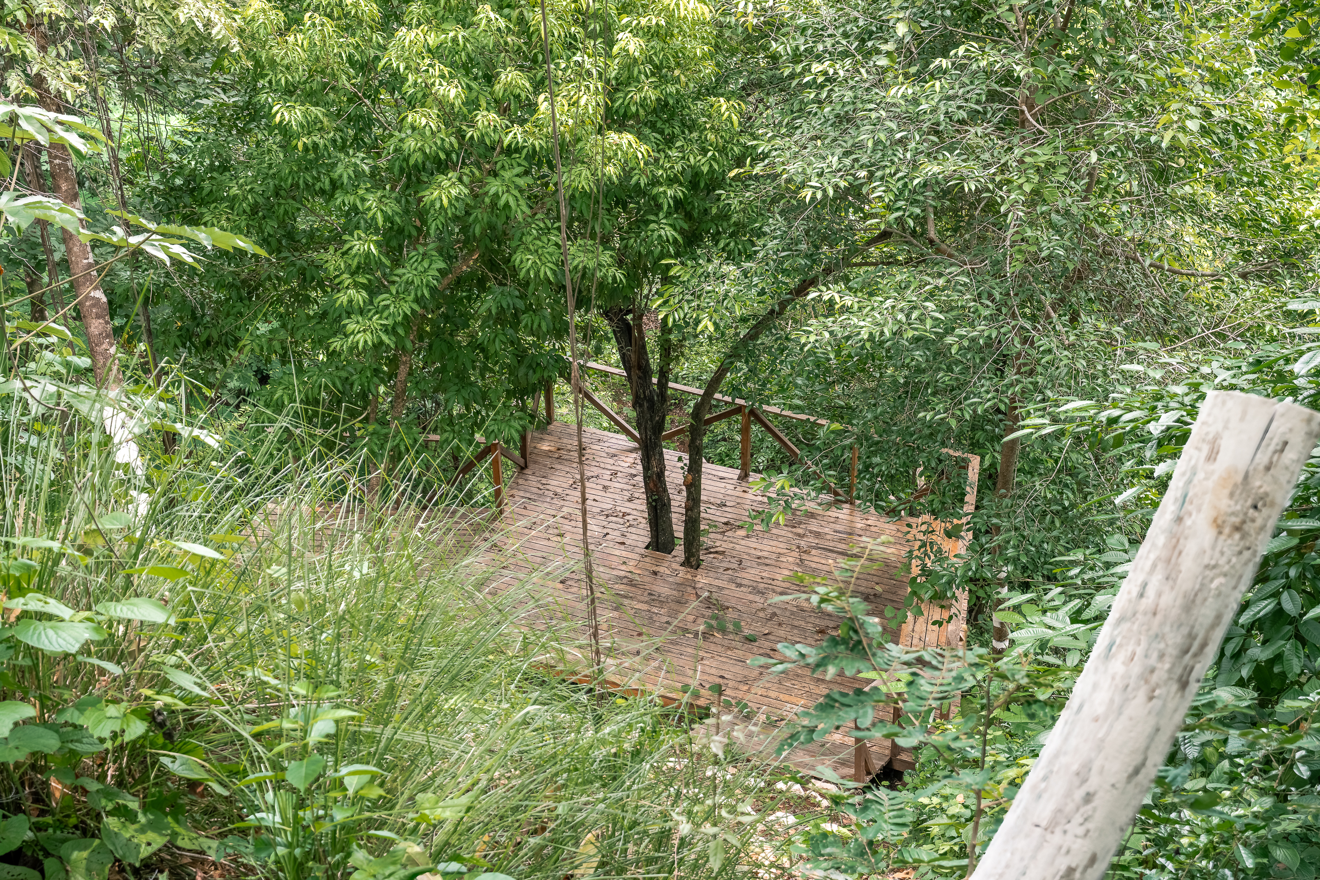 0 bed Land For Sale in Nosara, Guanacaste - thumb 10
