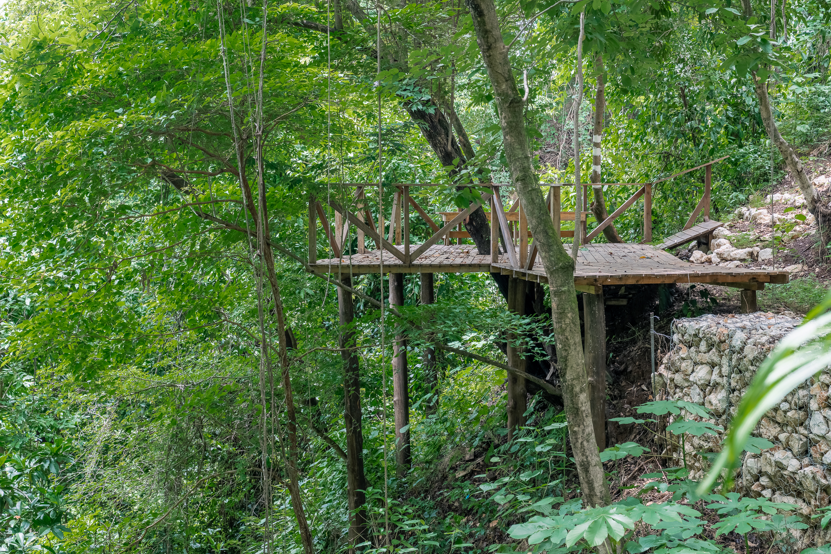 0 bed Land For Sale in Nosara, Guanacaste - thumb 18