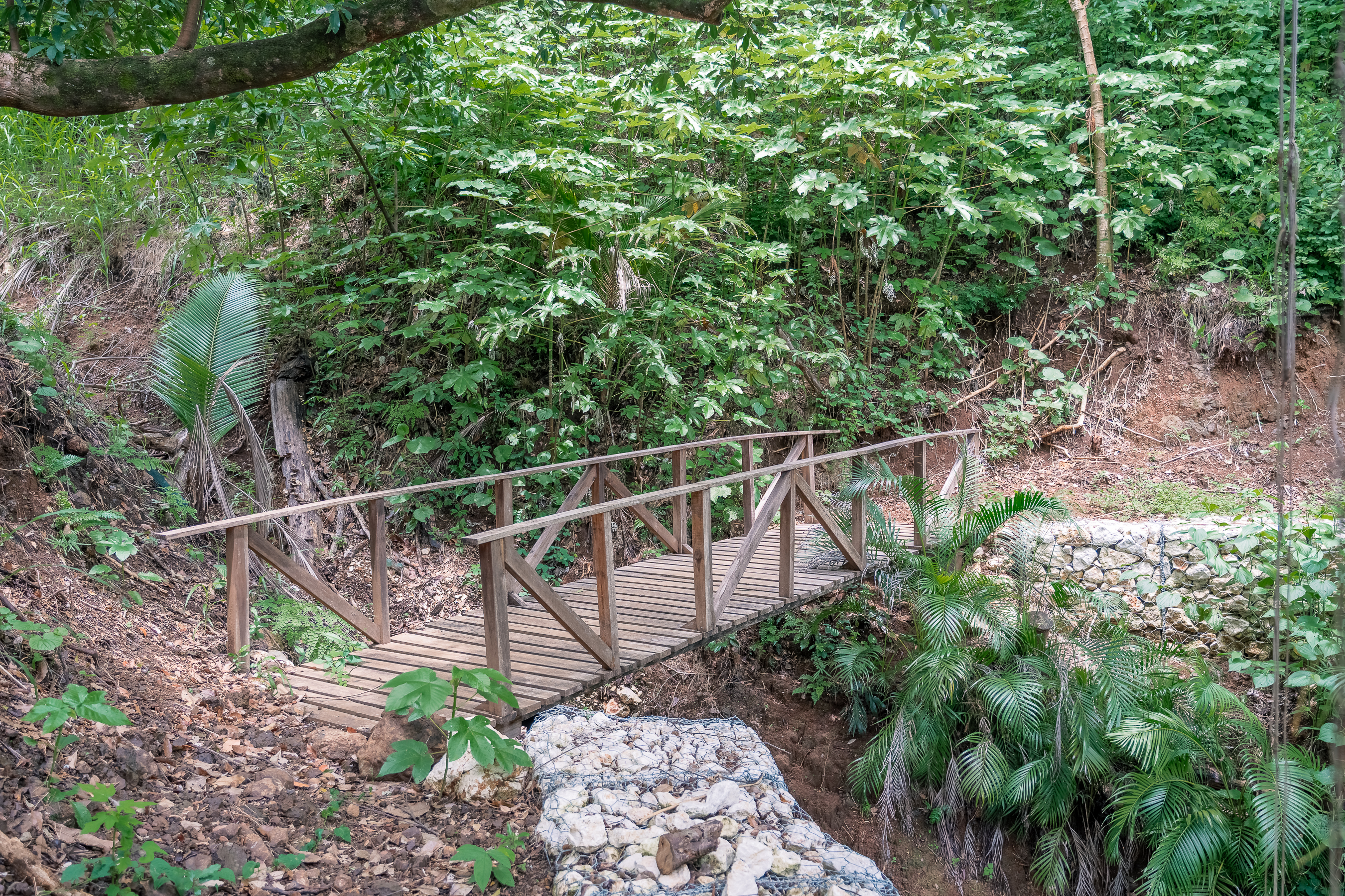 0 bed Land For Sale in Nosara, Guanacaste - thumb 12