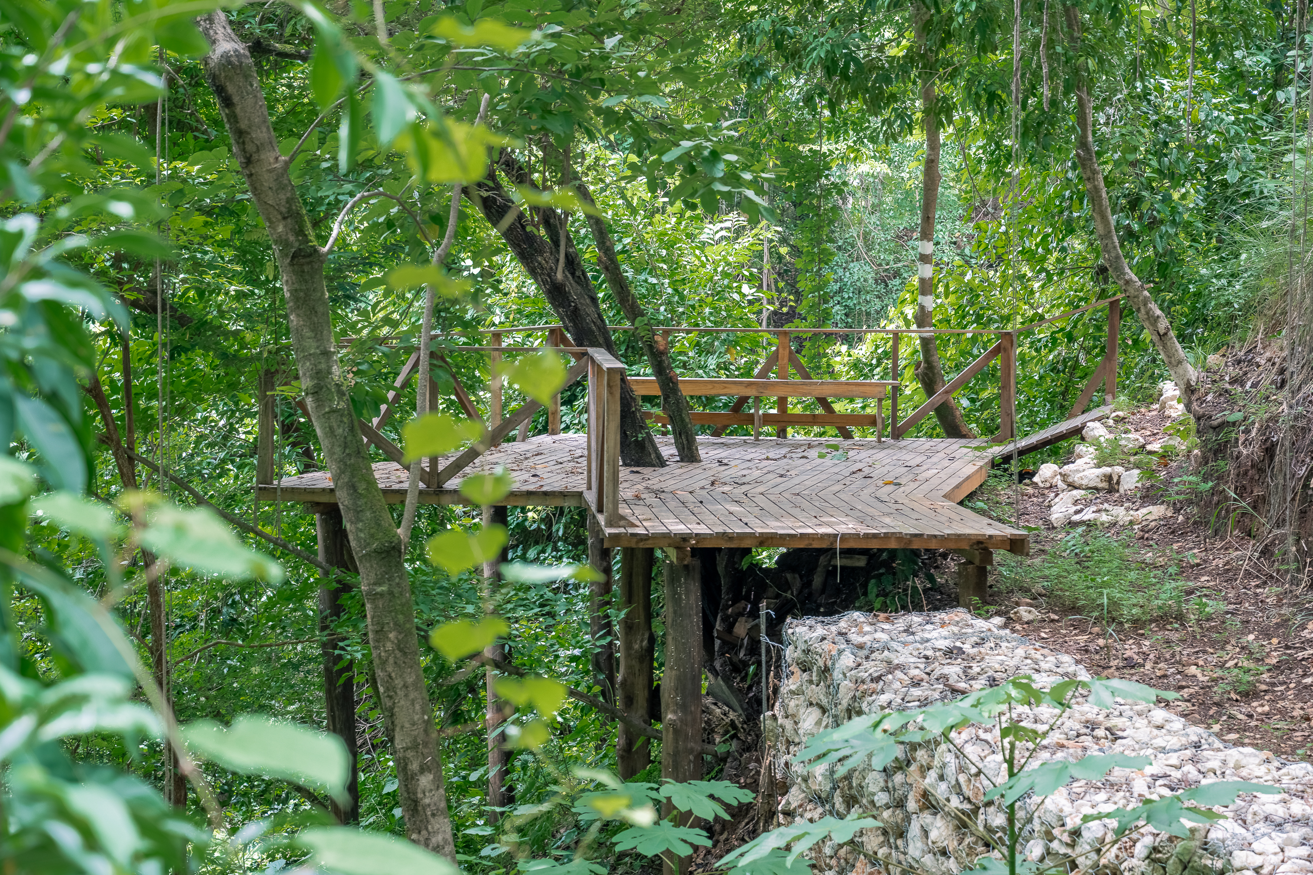0 bed Land For Sale in Nosara, Guanacaste - thumb 15