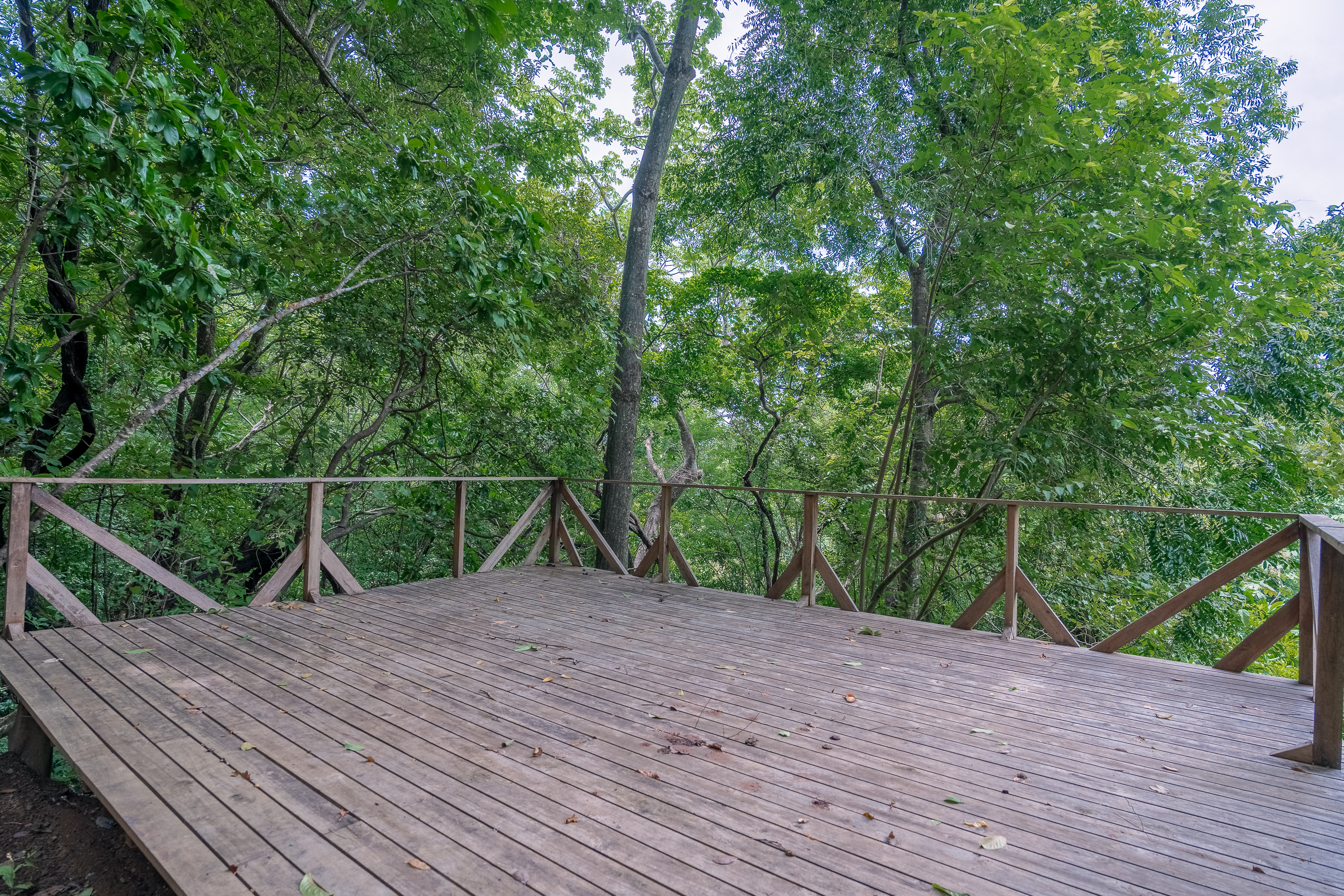 0 bed Land For Sale in Nosara, Guanacaste - thumb 17