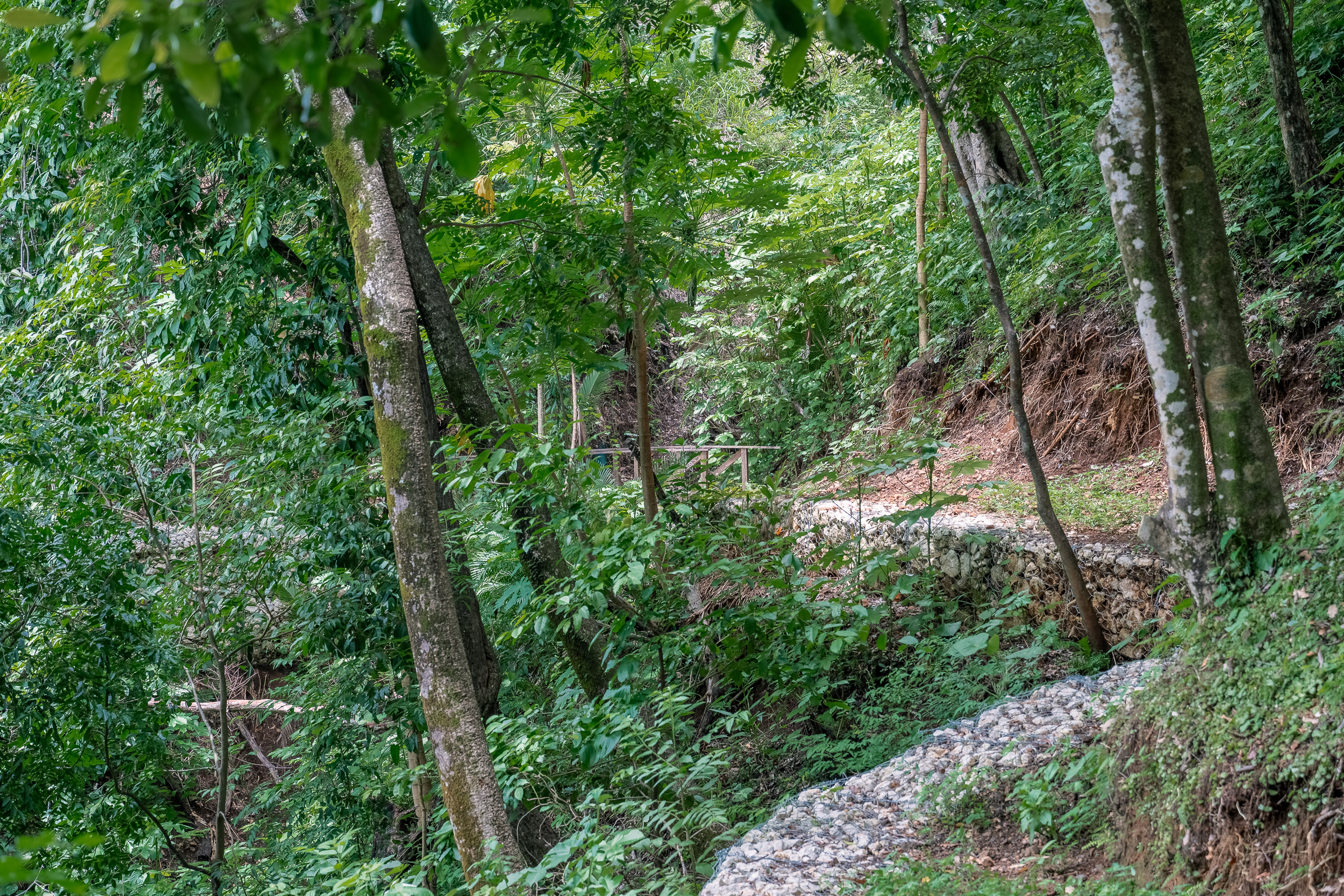0 bed Land For Sale in Nosara, Guanacaste - thumb 19
