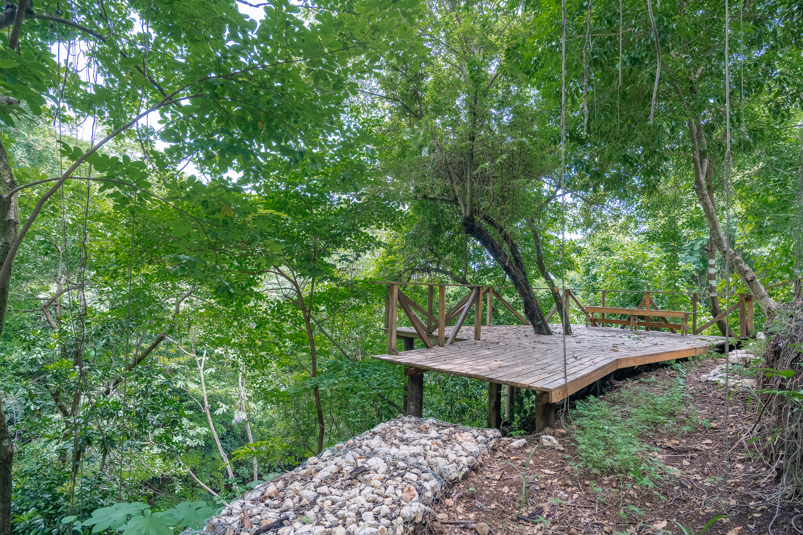 0 bed Land For Sale in Nosara, Guanacaste - thumb 13