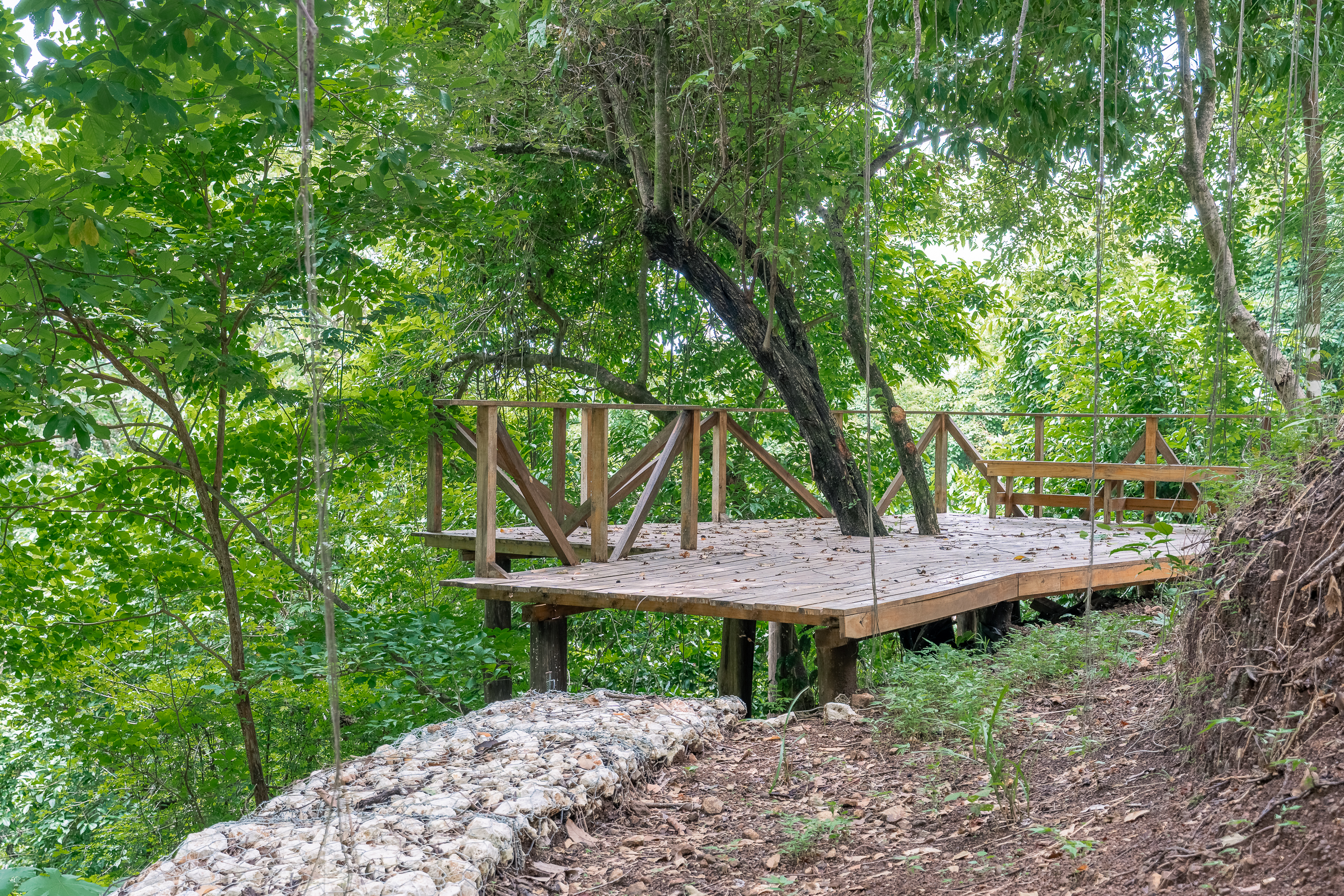 0 bed Land For Sale in Nosara, Guanacaste - thumb 14