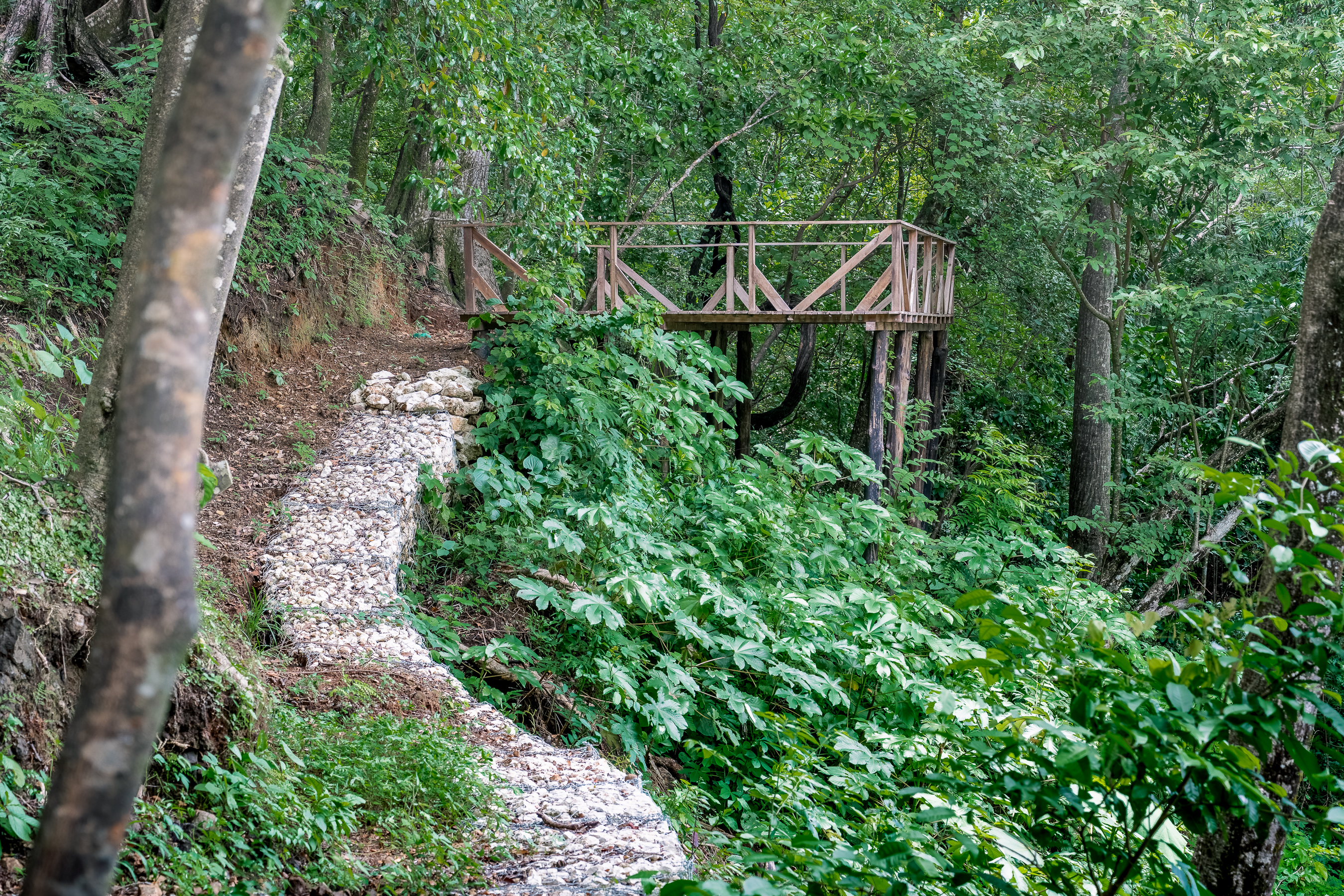 0 bed Land For Sale in Nosara, Guanacaste - thumb 11