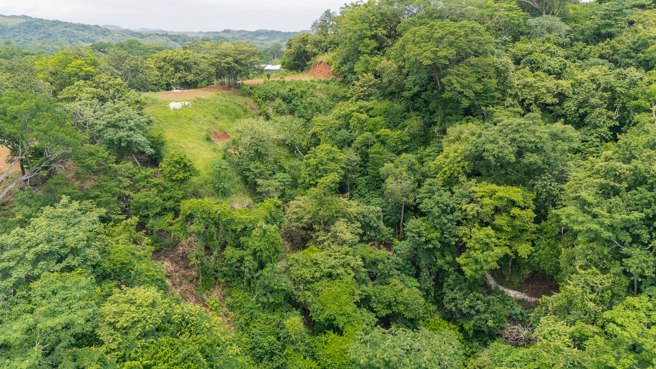 0 bed Land For Sale in Nosara, Guanacaste - thumb 8