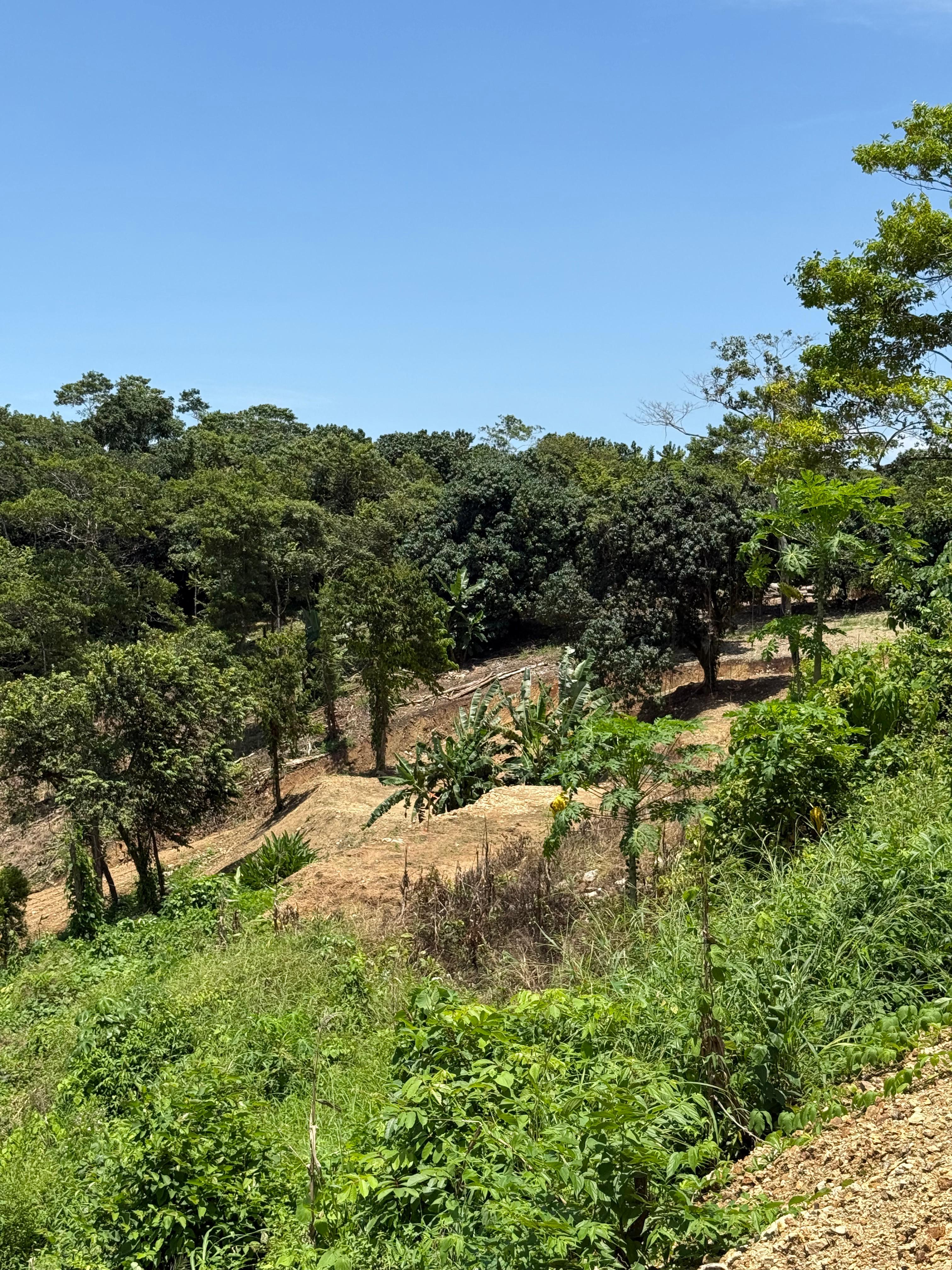 0 bed Land For Sale in Santiago, Puntarenas - thumb 3