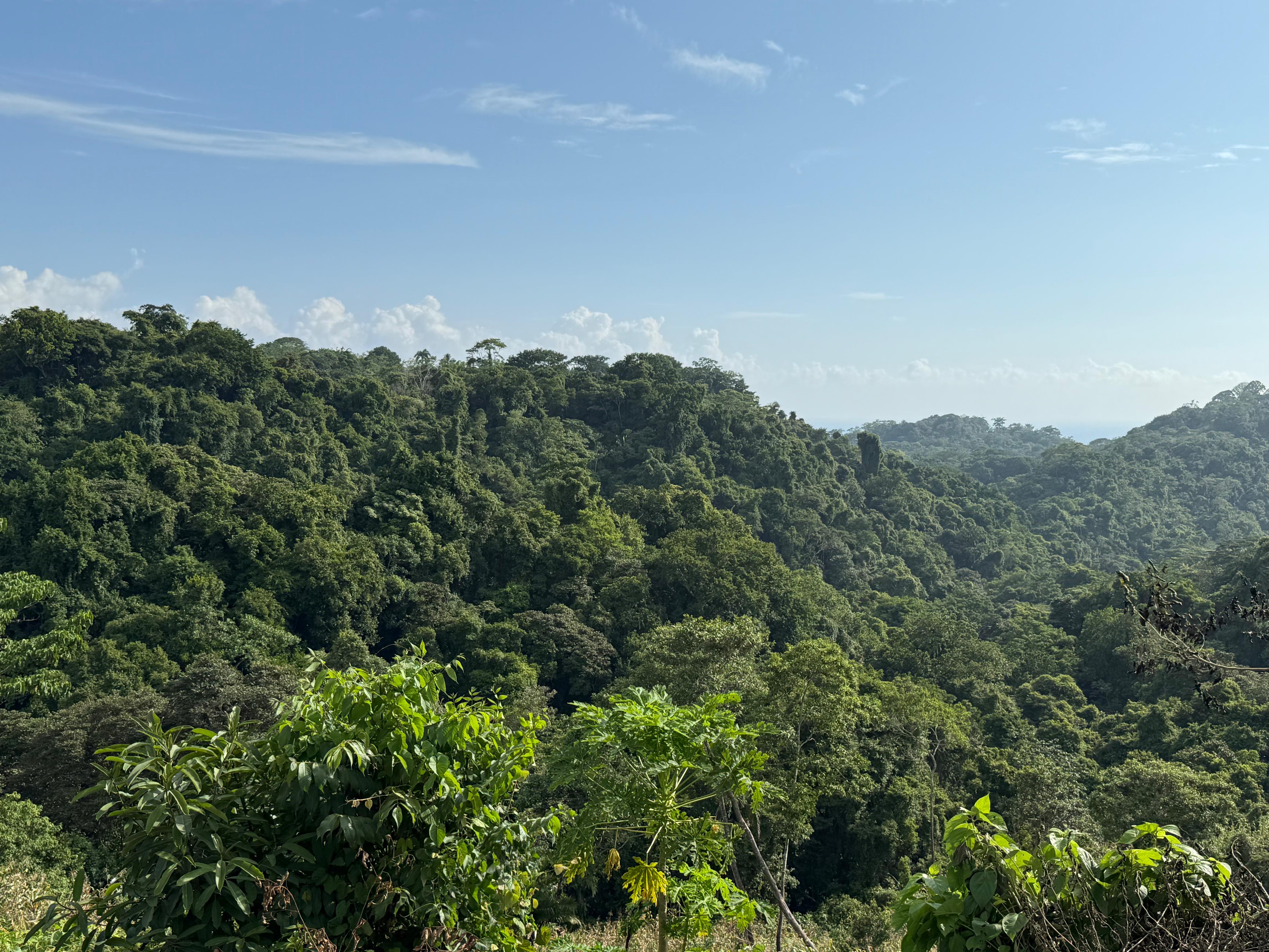 0 bed Land For Sale in Santiago, Puntarenas - thumb 2