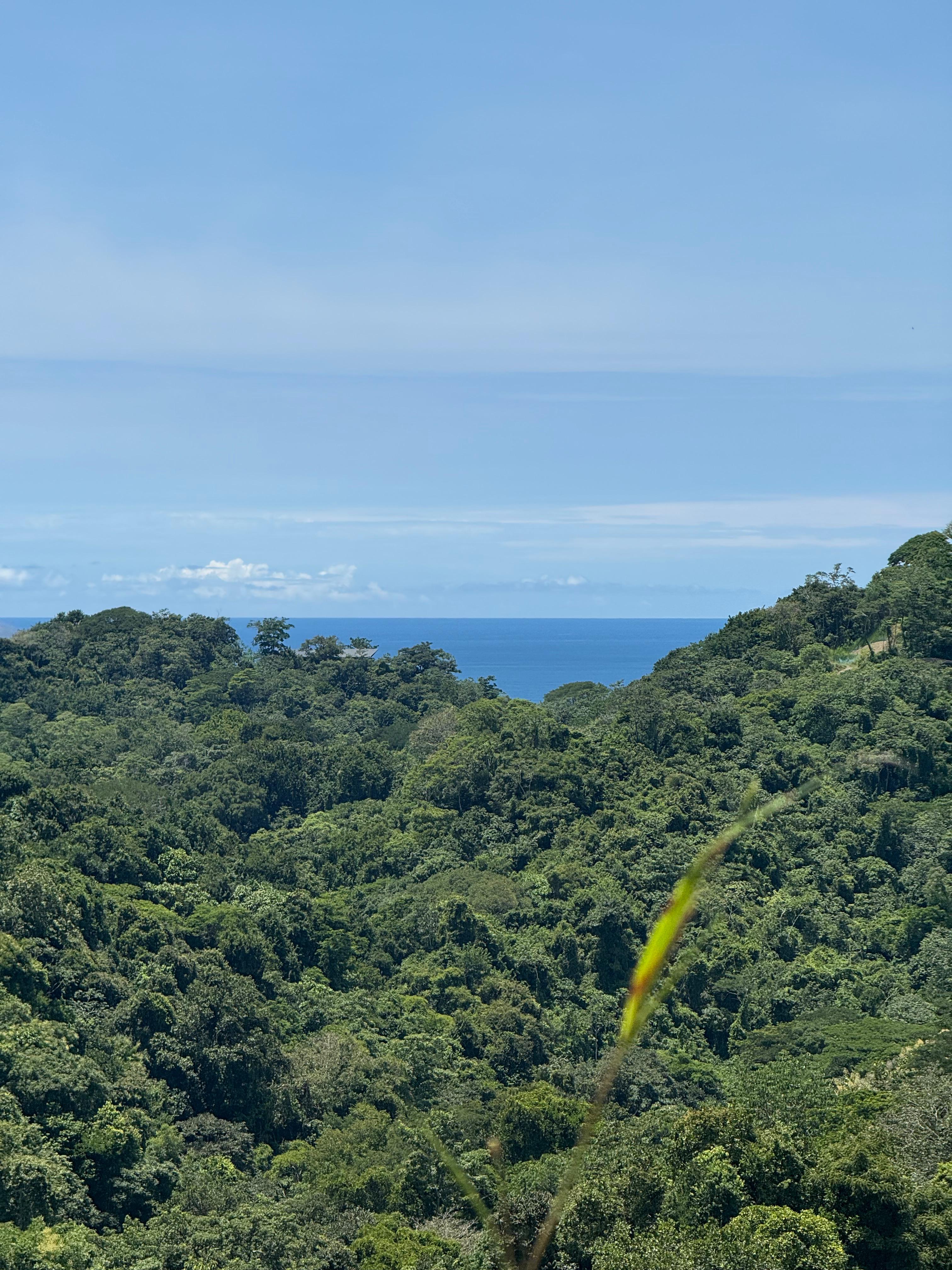 0 bed Land For Sale in Santiago, Puntarenas - thumb 1