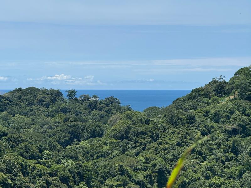 0 bed Land For Sale in Santiago, Puntarenas - 1