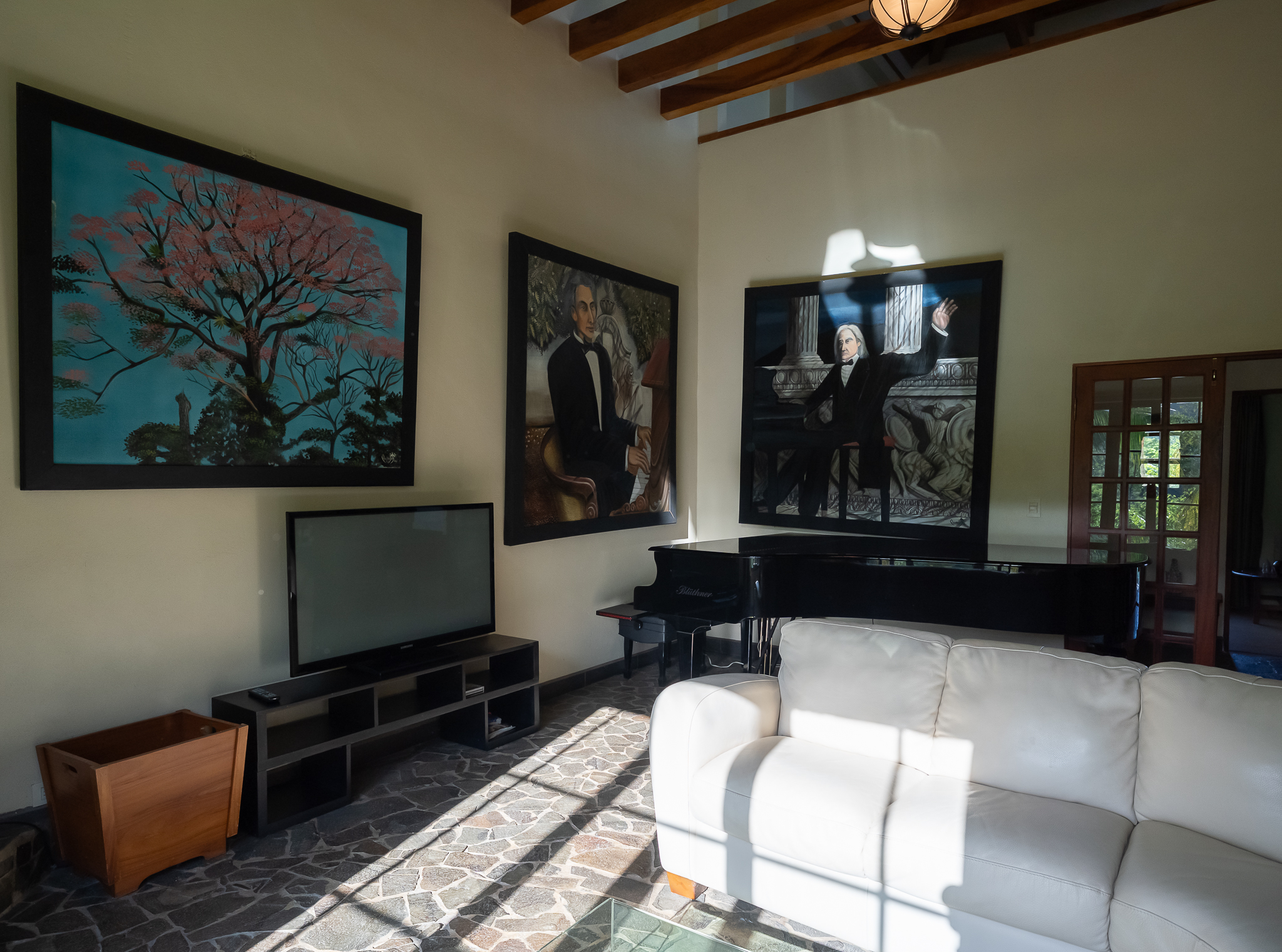 6 bed Single Family Homes For Sale in Tambor, Puntarenas - thumb 6