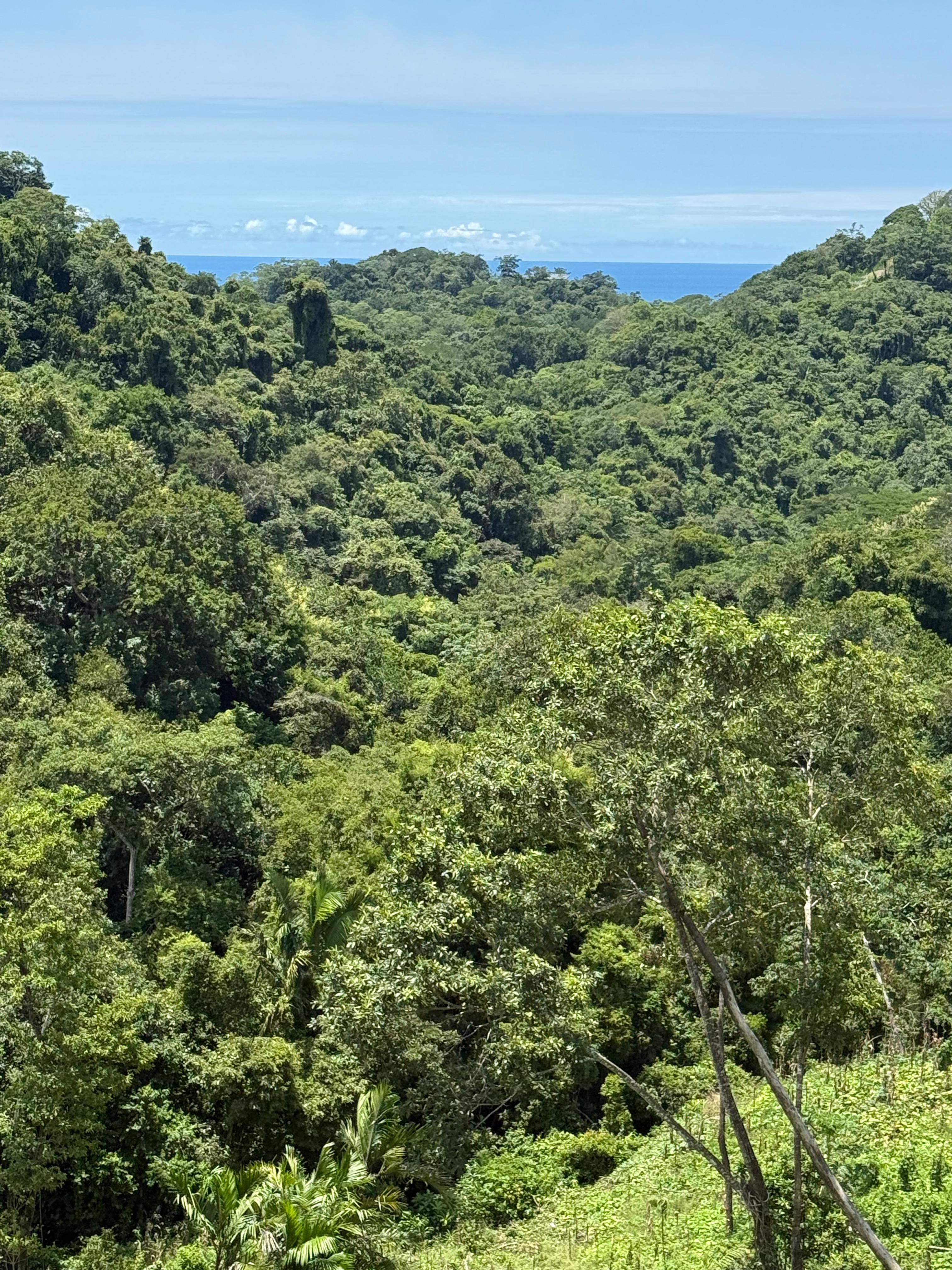 0 bed Land For Sale in Santiago, Puntarenas - thumb 2
