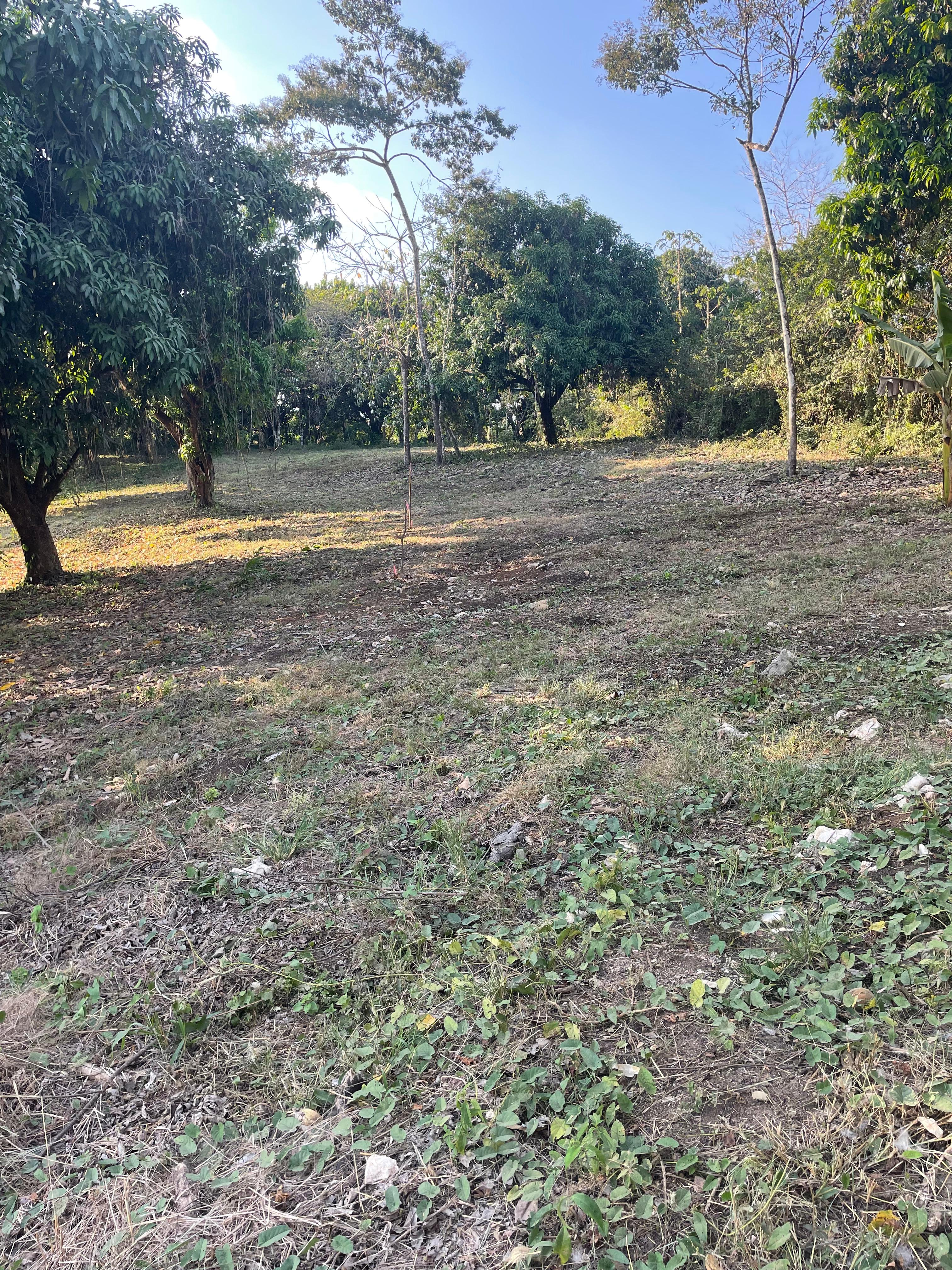 0 bed Land For Sale in Santiago, Puntarenas - thumb 1