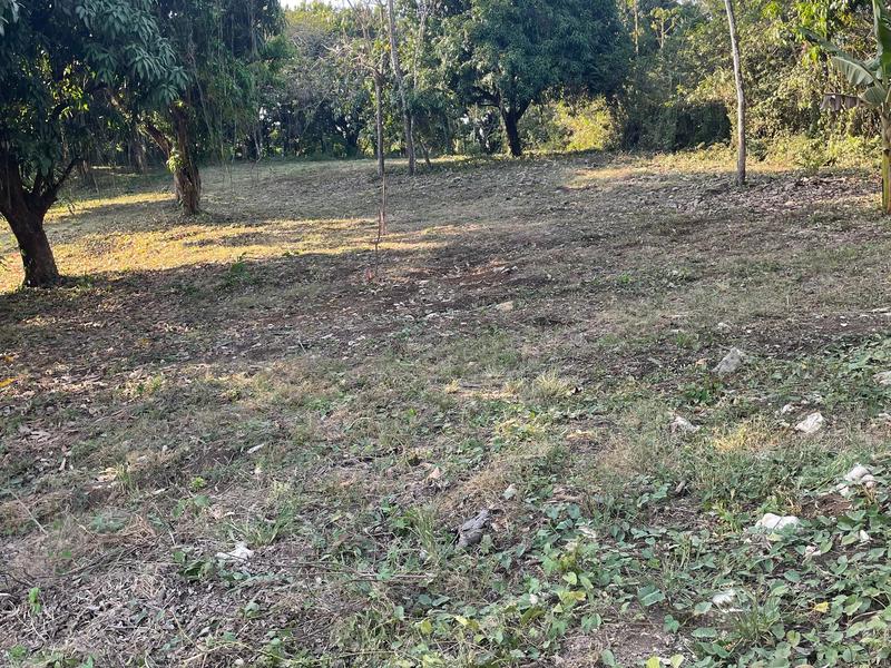 0 bed Land For Sale in Santiago, Puntarenas - 1