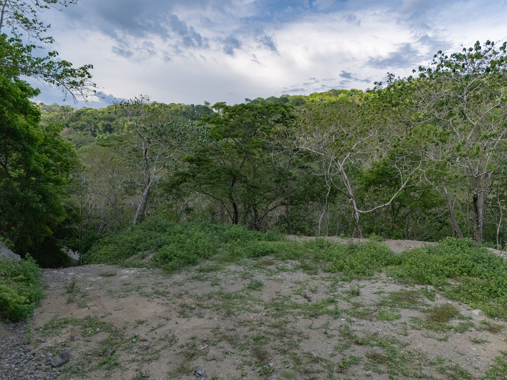 0 bed Land For Sale in Santa Teresa, Puntarenas - thumb 5