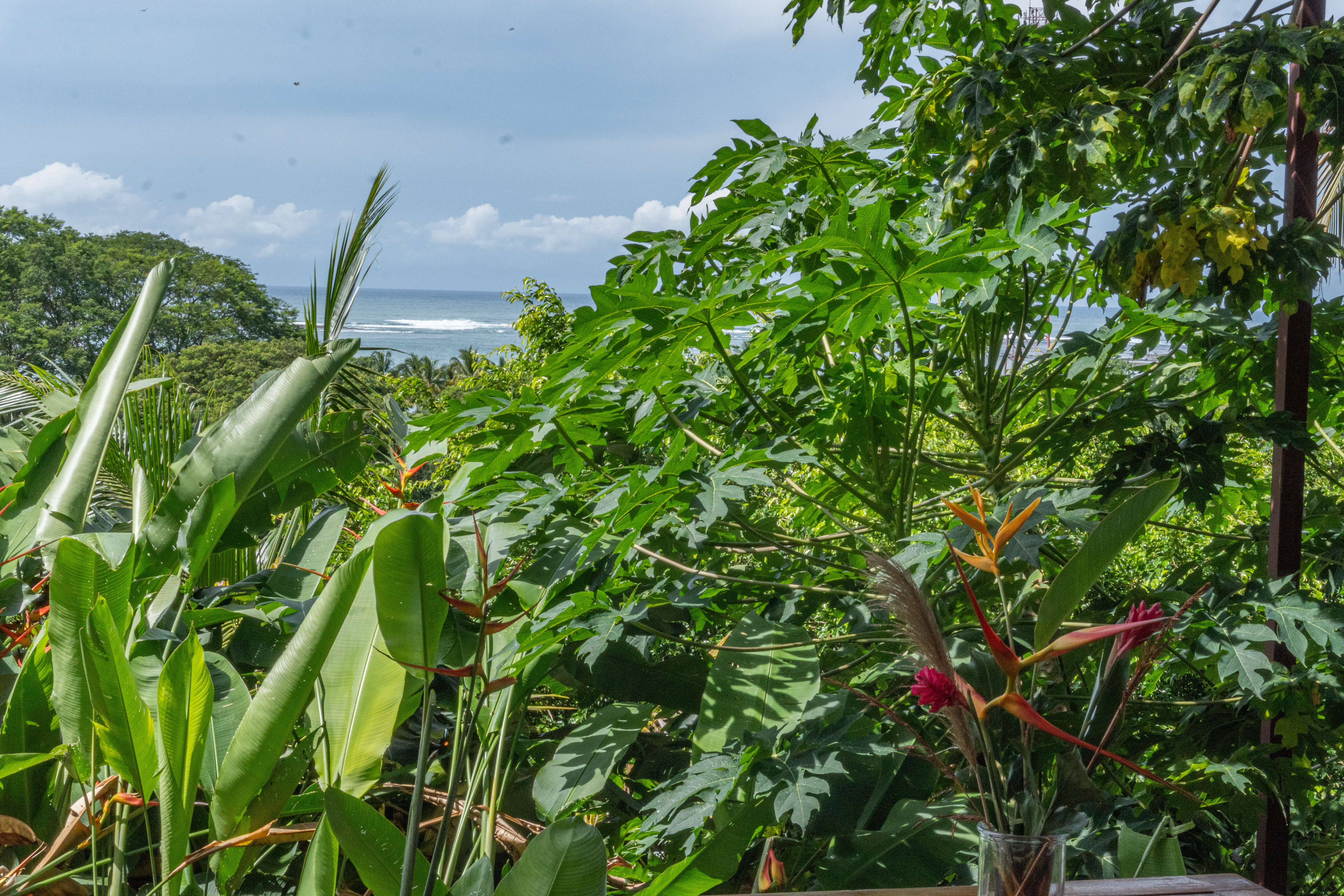 2 bed Condo For Sale in Samara, Guanacaste - thumb 26