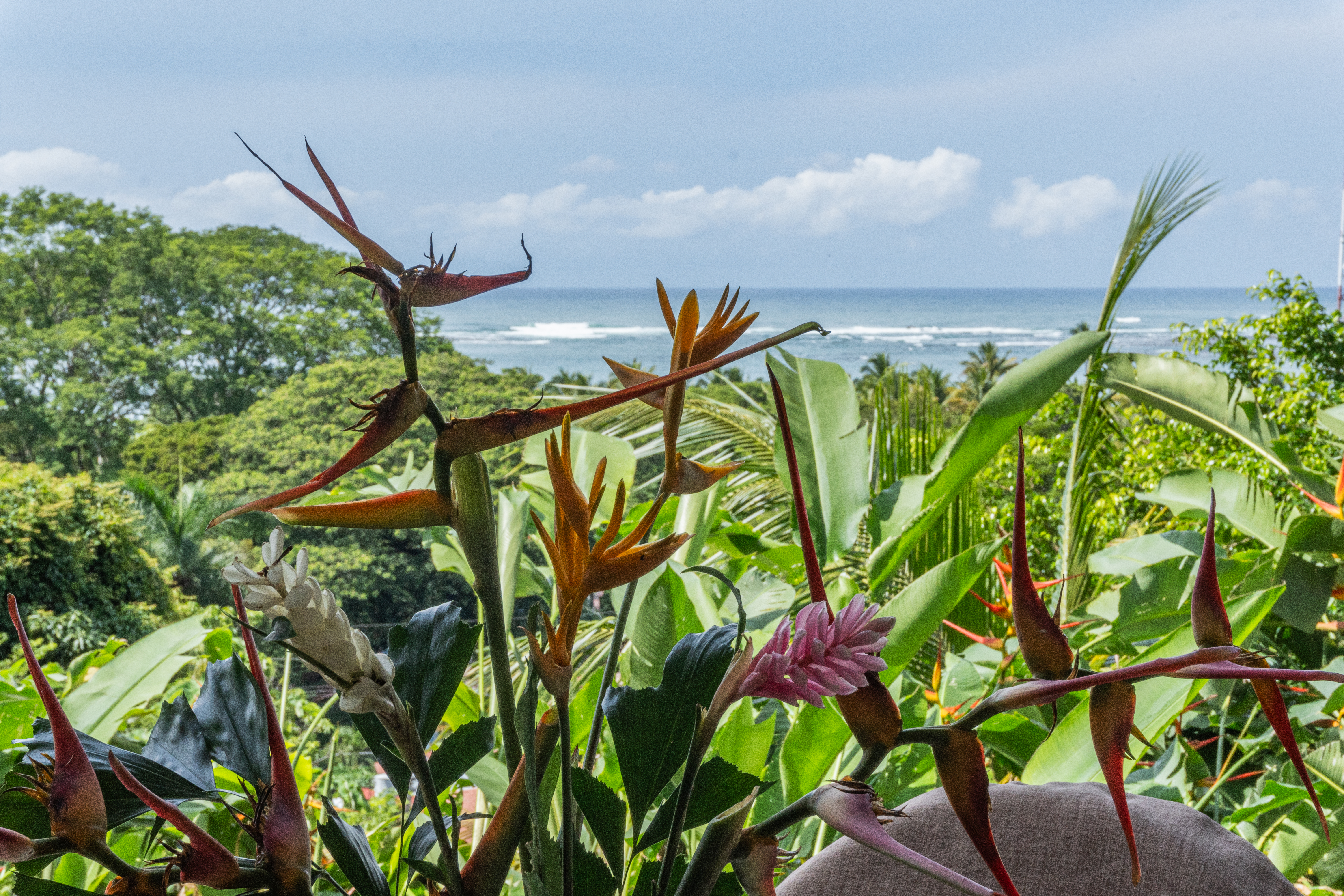 2 bed Condo For Sale in Samara, Guanacaste - thumb 3