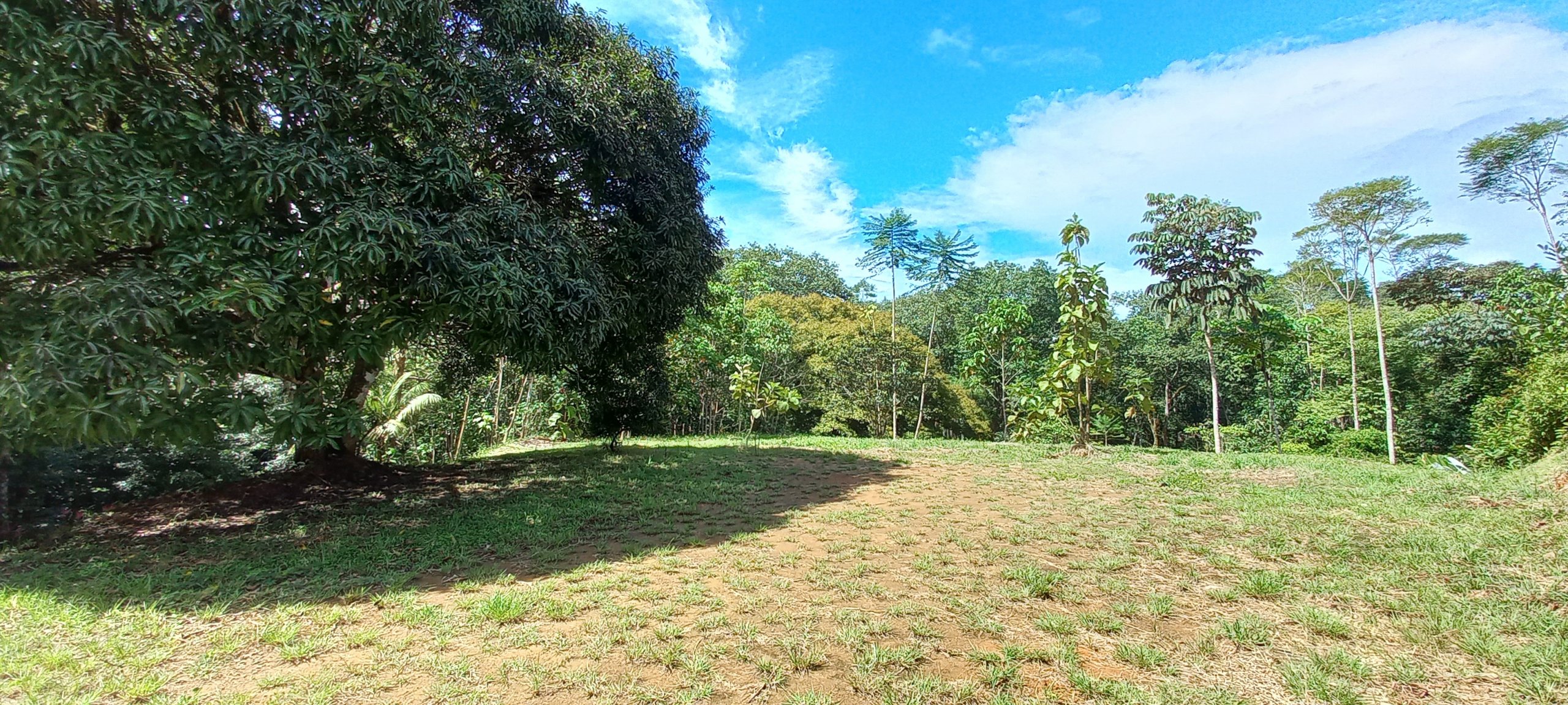 5 bed Single Family Homes For Sale in Ojochal, Puntarenas - thumb 24