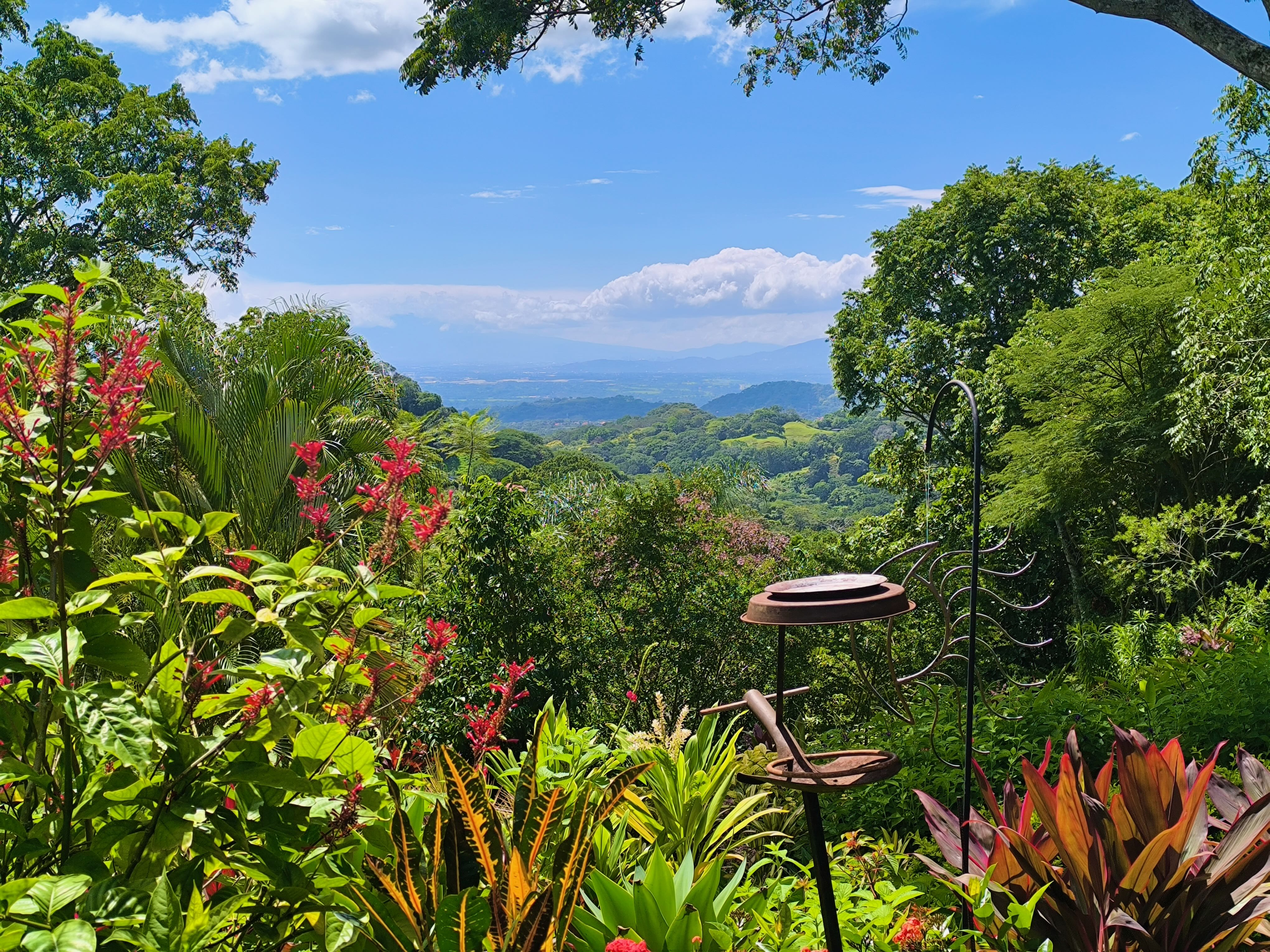 3 bed Single Family Homes For Sale in Atenas, Alajuela - thumb 2
