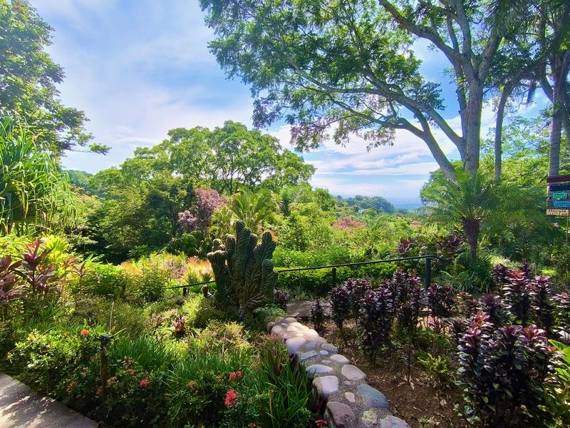3 bed Single Family Homes For Sale in Atenas, Alajuela - photo 29