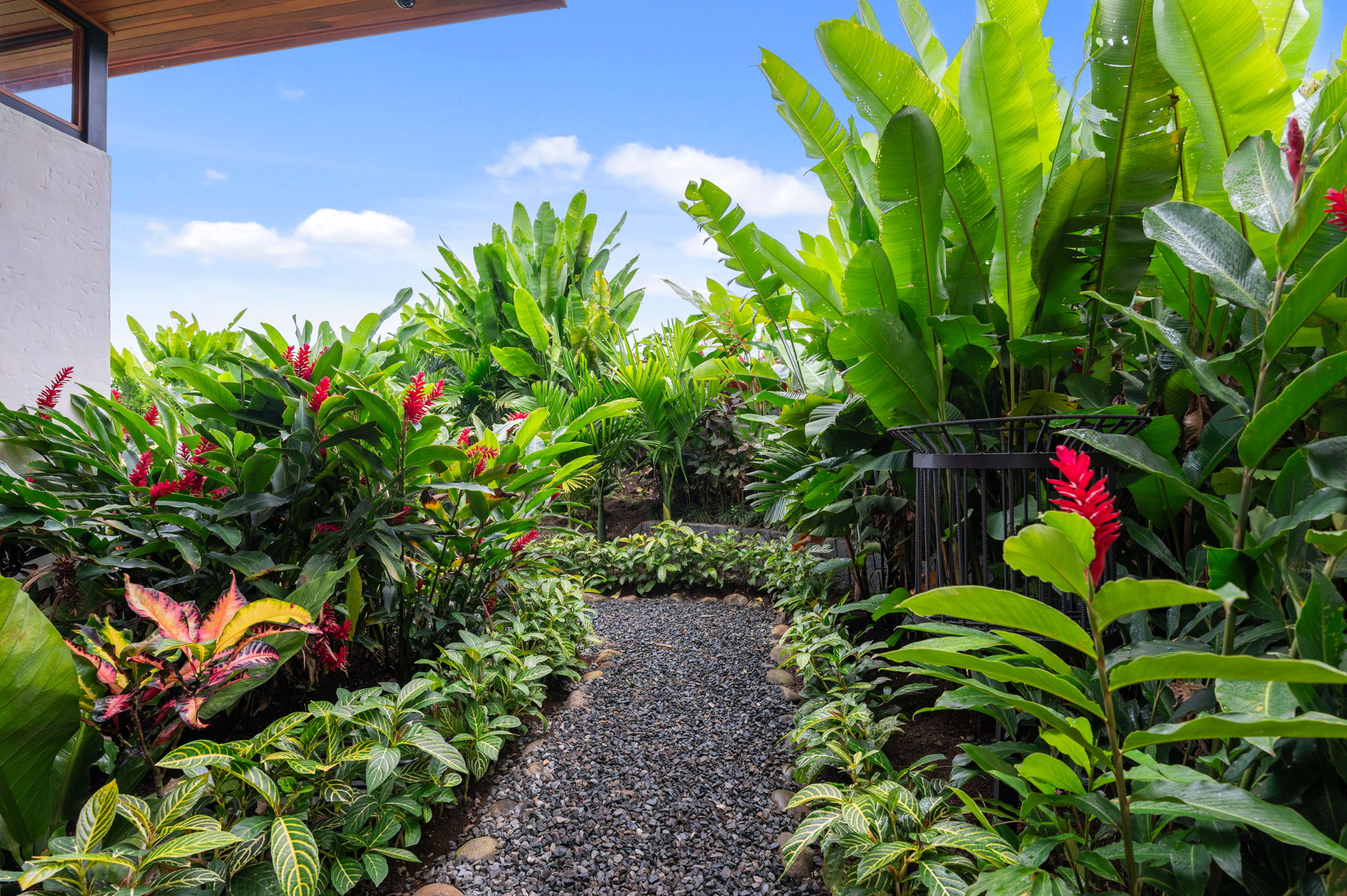 3 bed Single Family Homes For Sale in La Fortuna, Alajuela - thumb 19